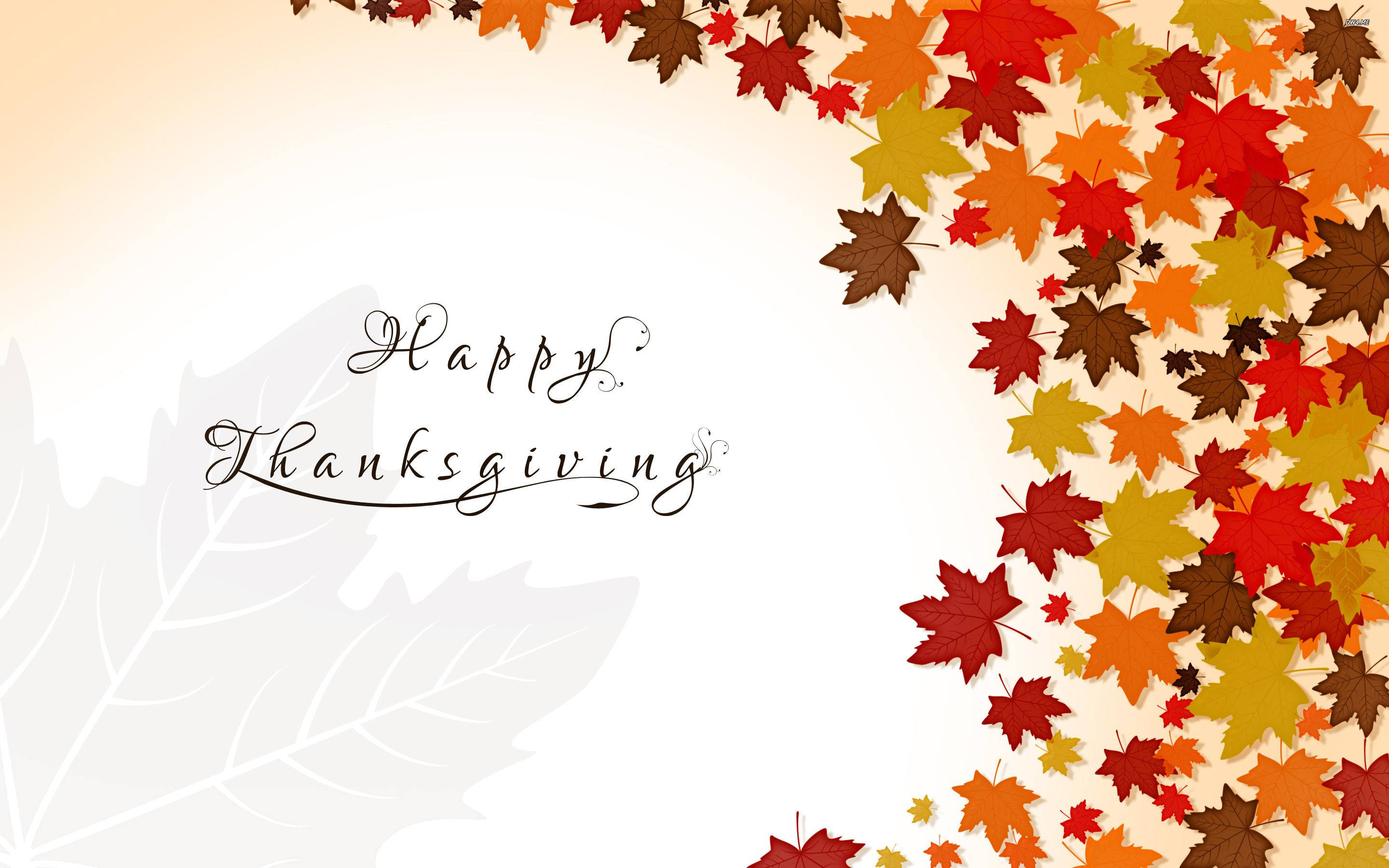 Happy Thanksgiving, red orange, gold, 2K Desktop Wallpaper