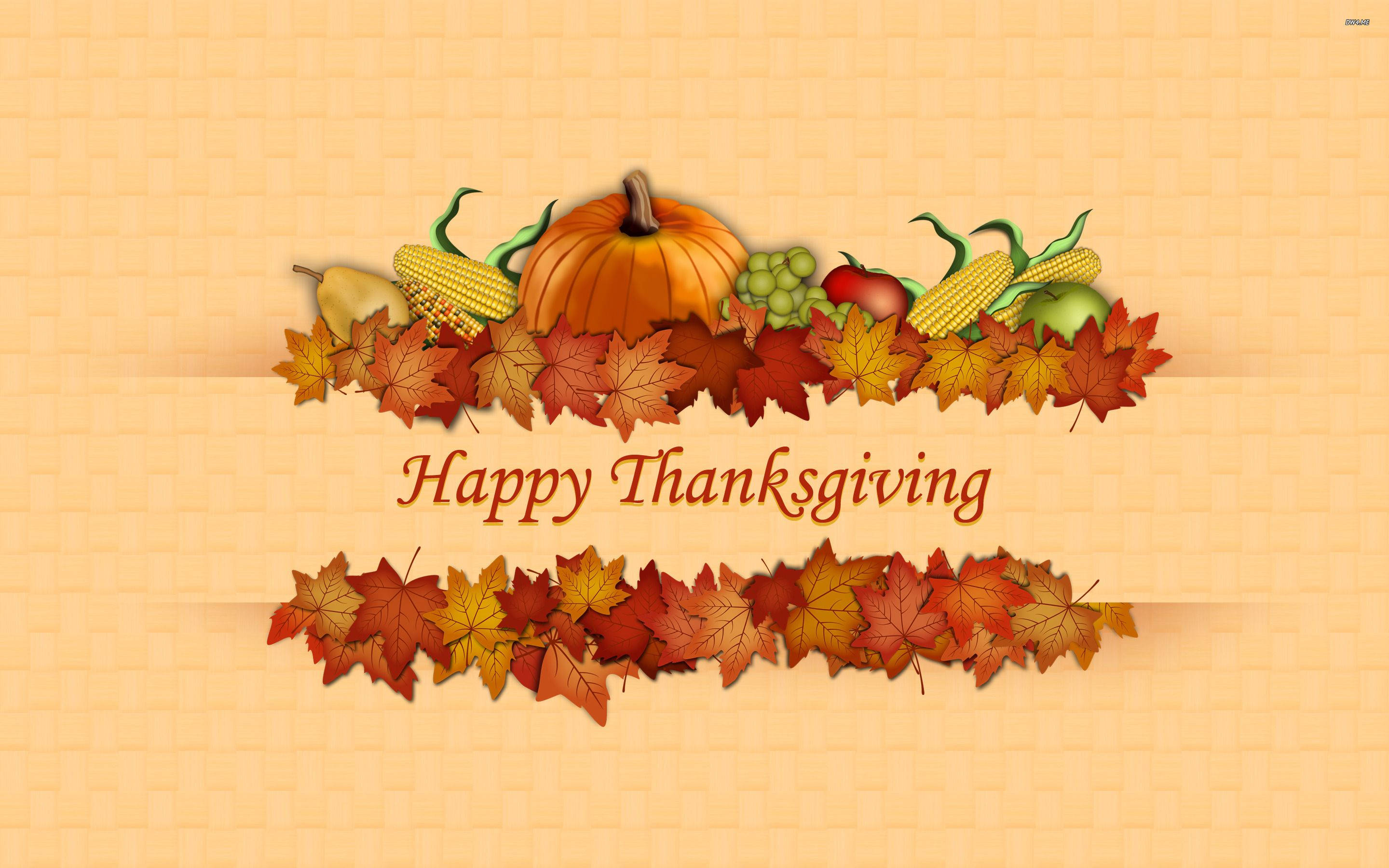 Thanksgiving, pumpkins, corn, 2K Desktop Wallpaper