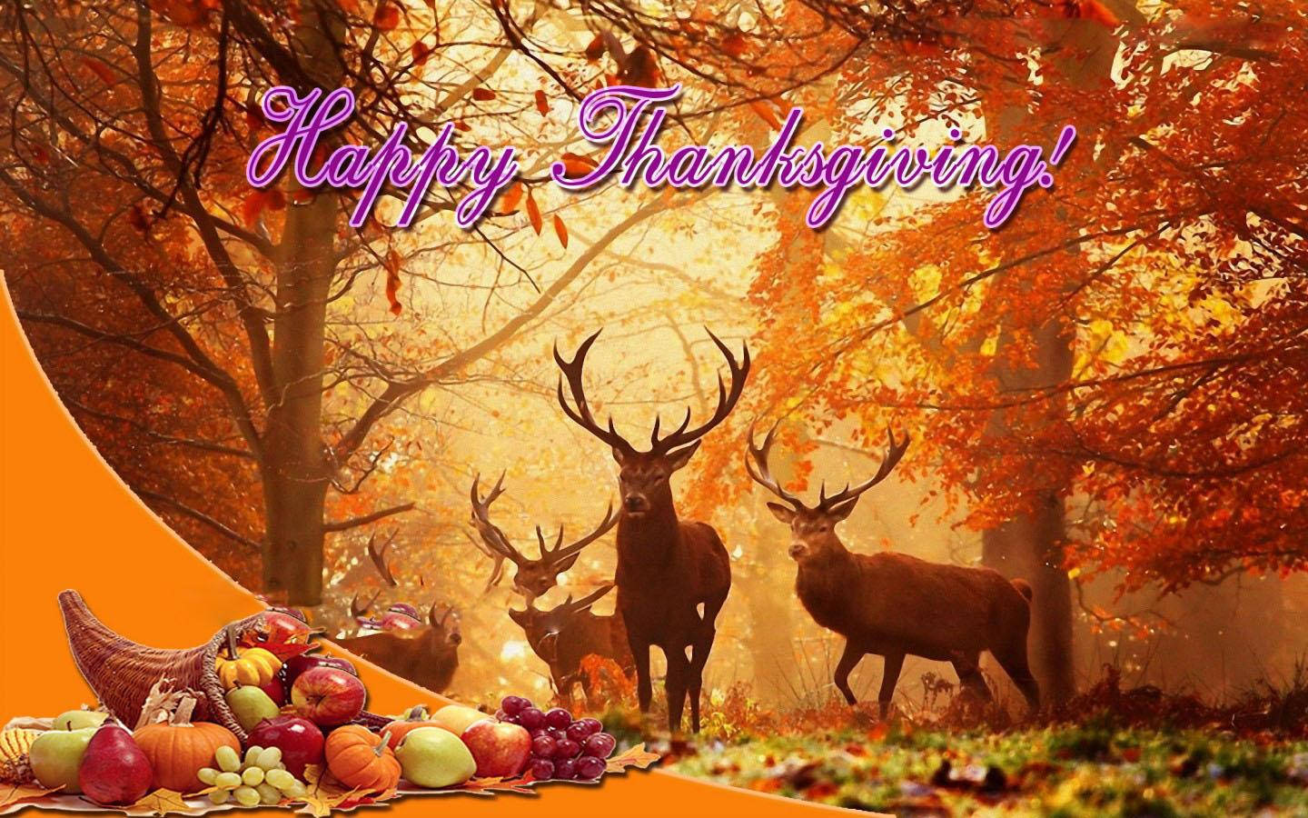 Thanksgiving Day, deer, cornucopia, HD Desktop Wallpaper