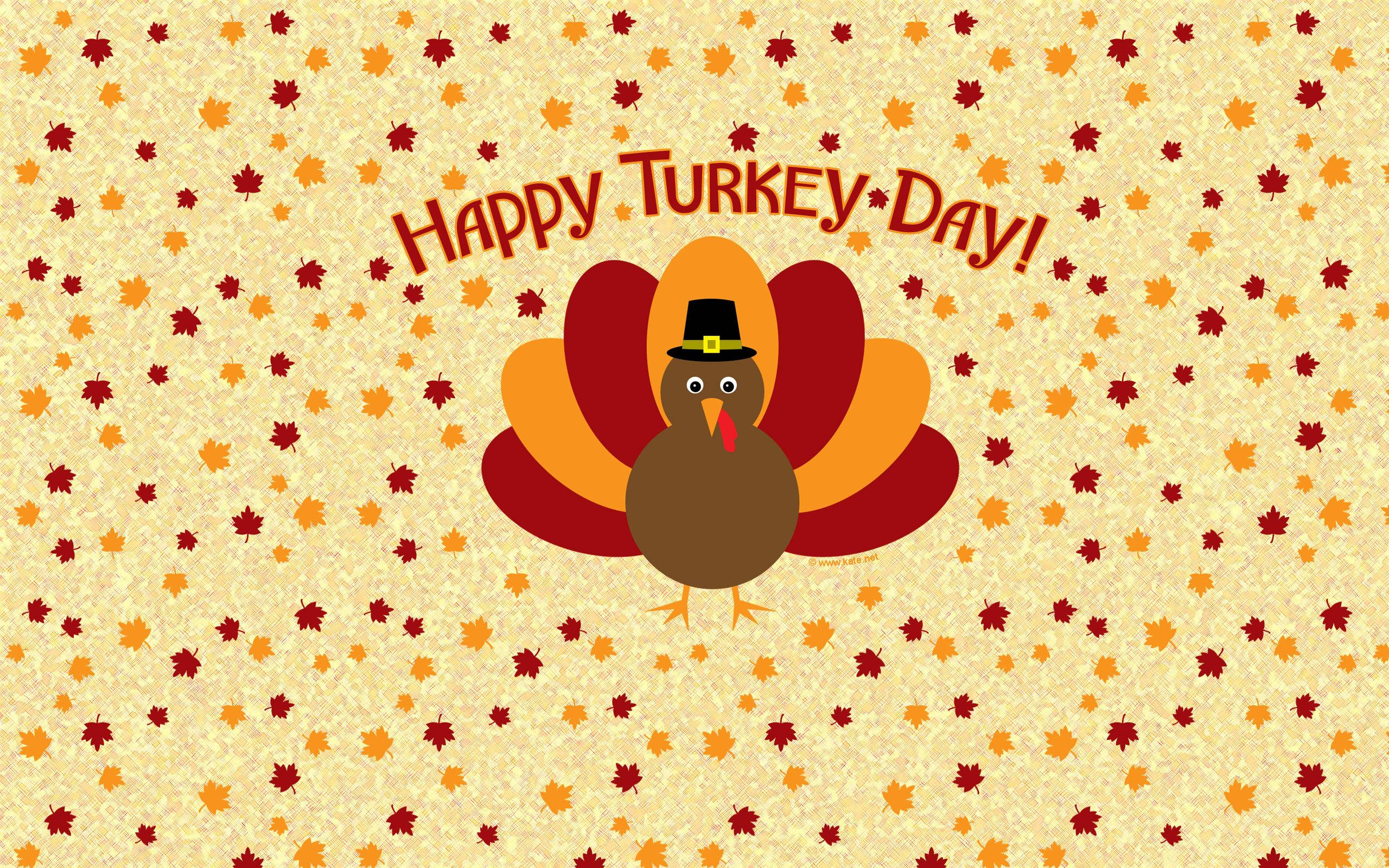 Thanksgiving, turkey, pilgrim hat, 2K Desktop Wallpaper