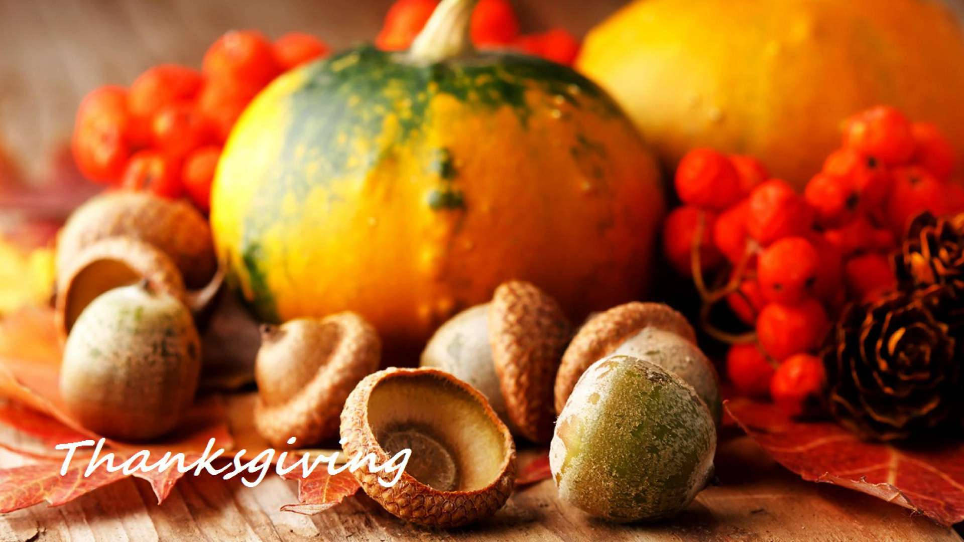 Thanksgiving, pumpkins, acorns, Full HD Desktop Wallpaper