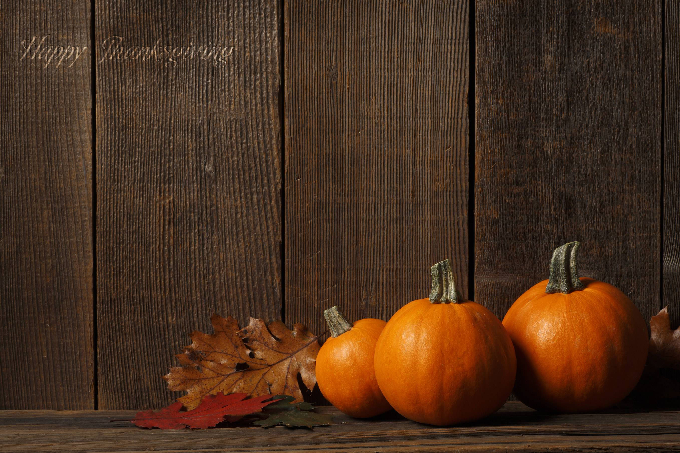 Thanksgiving, pumpkins, orange, 2K Desktop Wallpaper