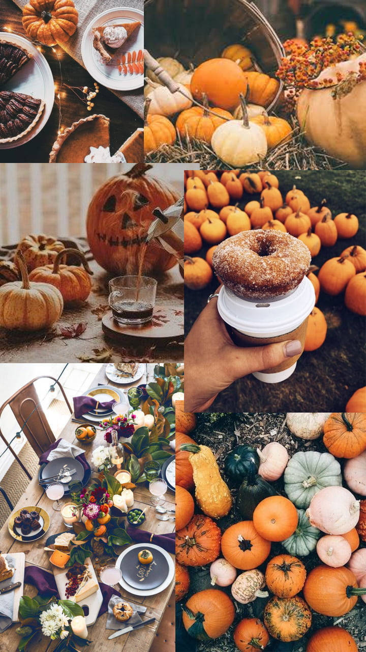Thanksgiving, pumpkins, pies, HD Phone Wallpaper