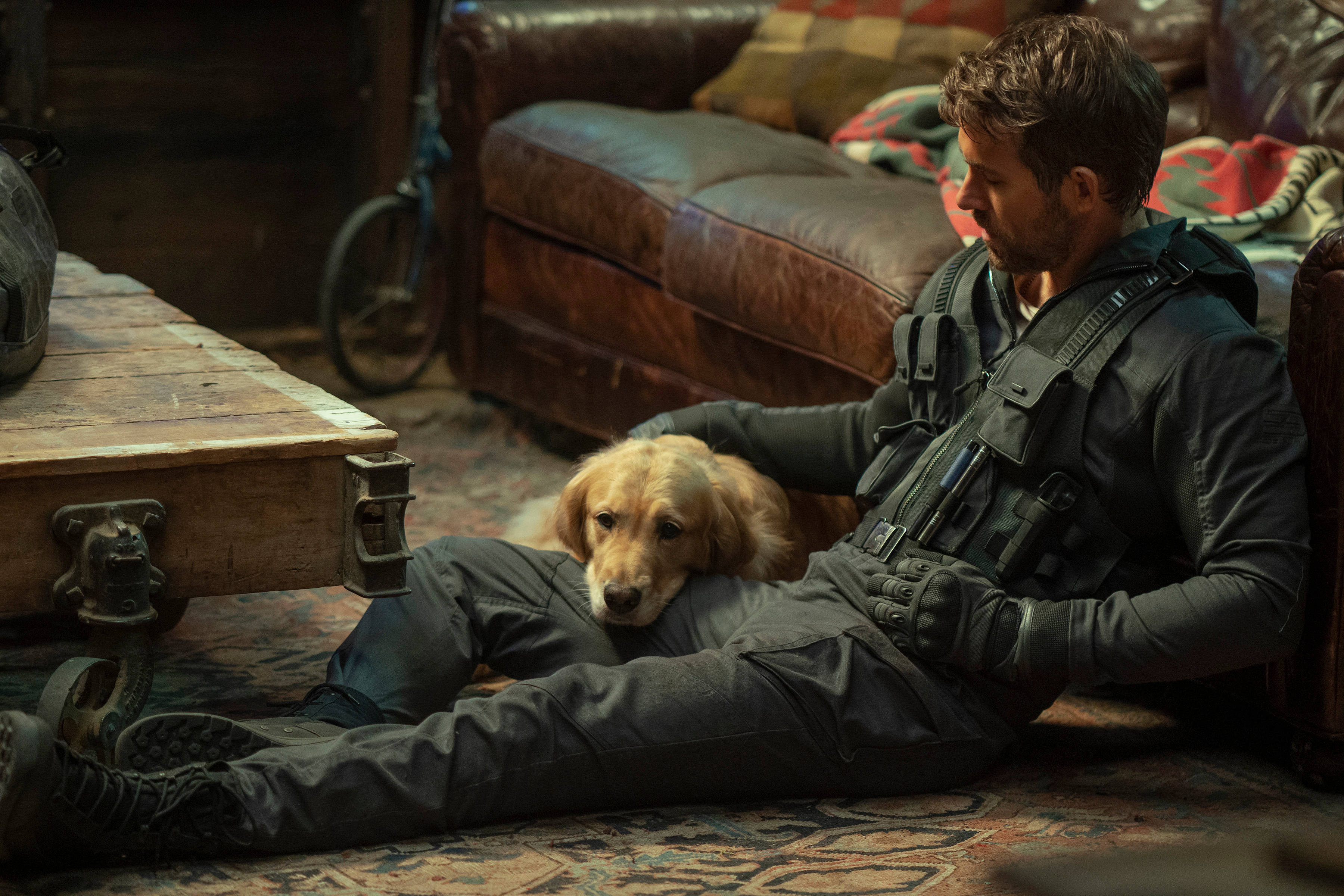 The Adam Project, golden retriever puppy, tactical gear, 2K Desktop Wallpaper