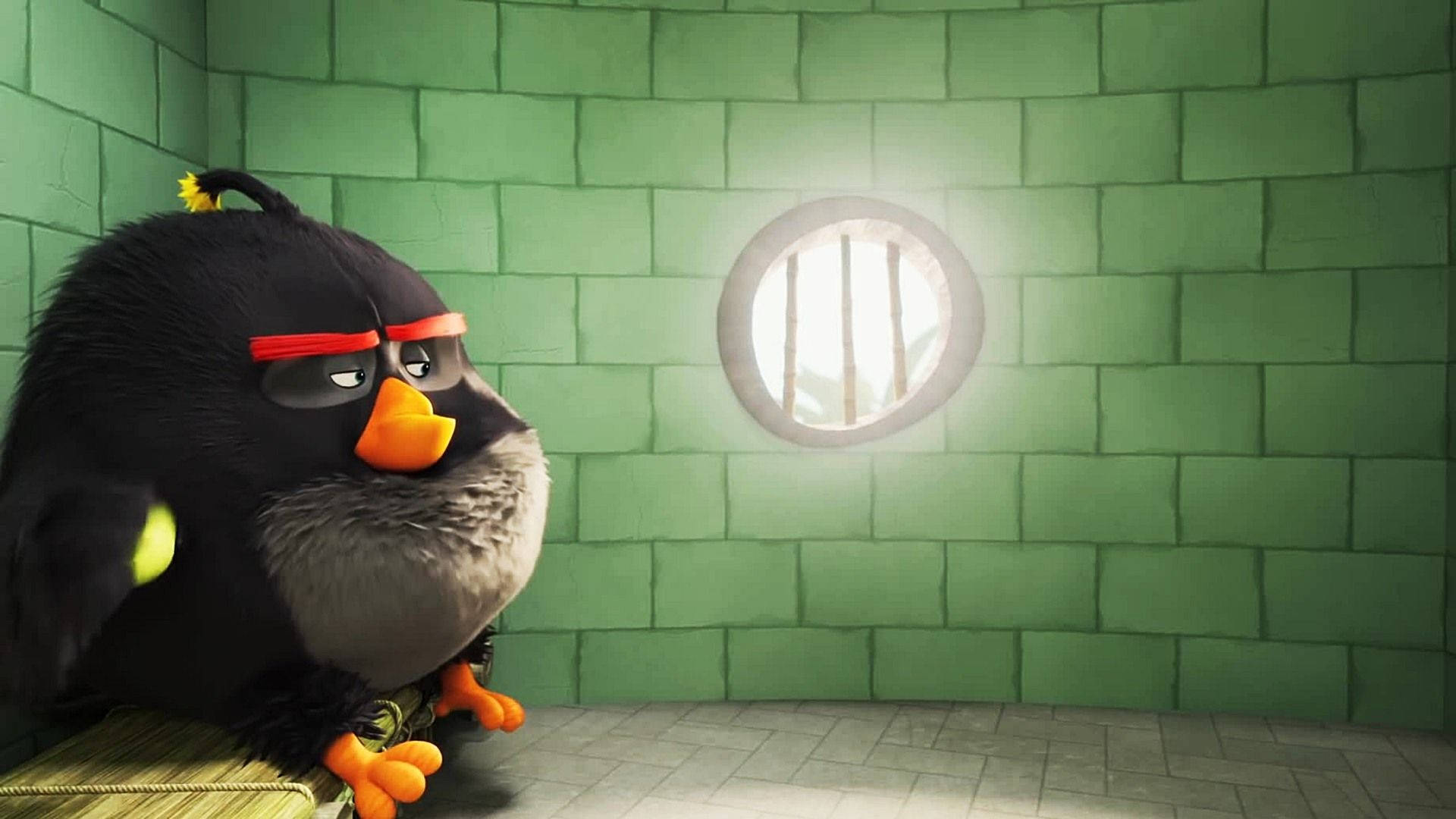 The Angry Birds Movie 2, black angry bird, red bandana, Full HD Desktop Wallpaper