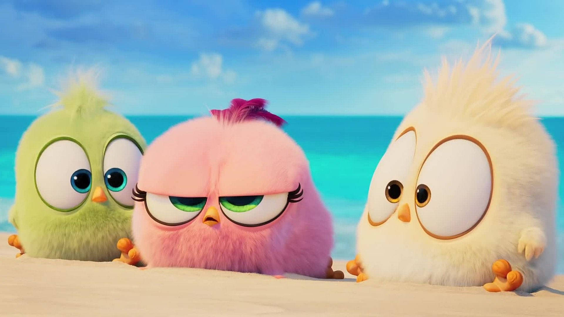 The Angry Birds Movie 2, fluffy animated birds, big eyes, Full HD Desktop Wallpaper