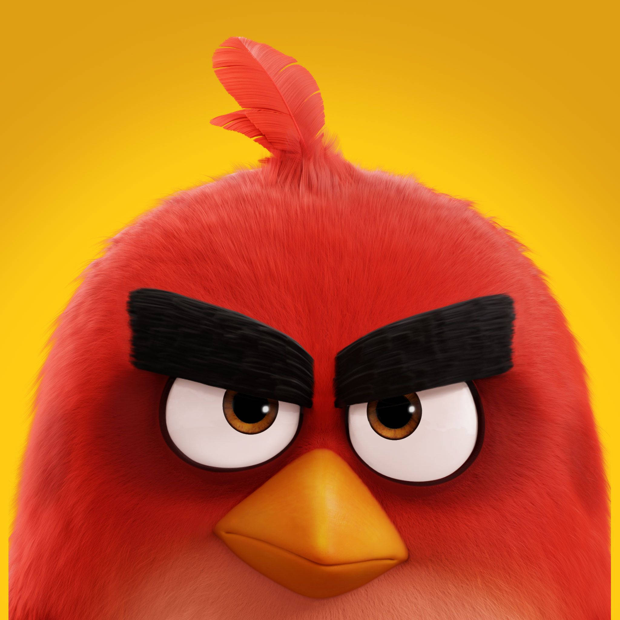 The Angry Birds Movie 2, red Angry Birds character, black eyebrows, Full HD Desktop Wallpaper