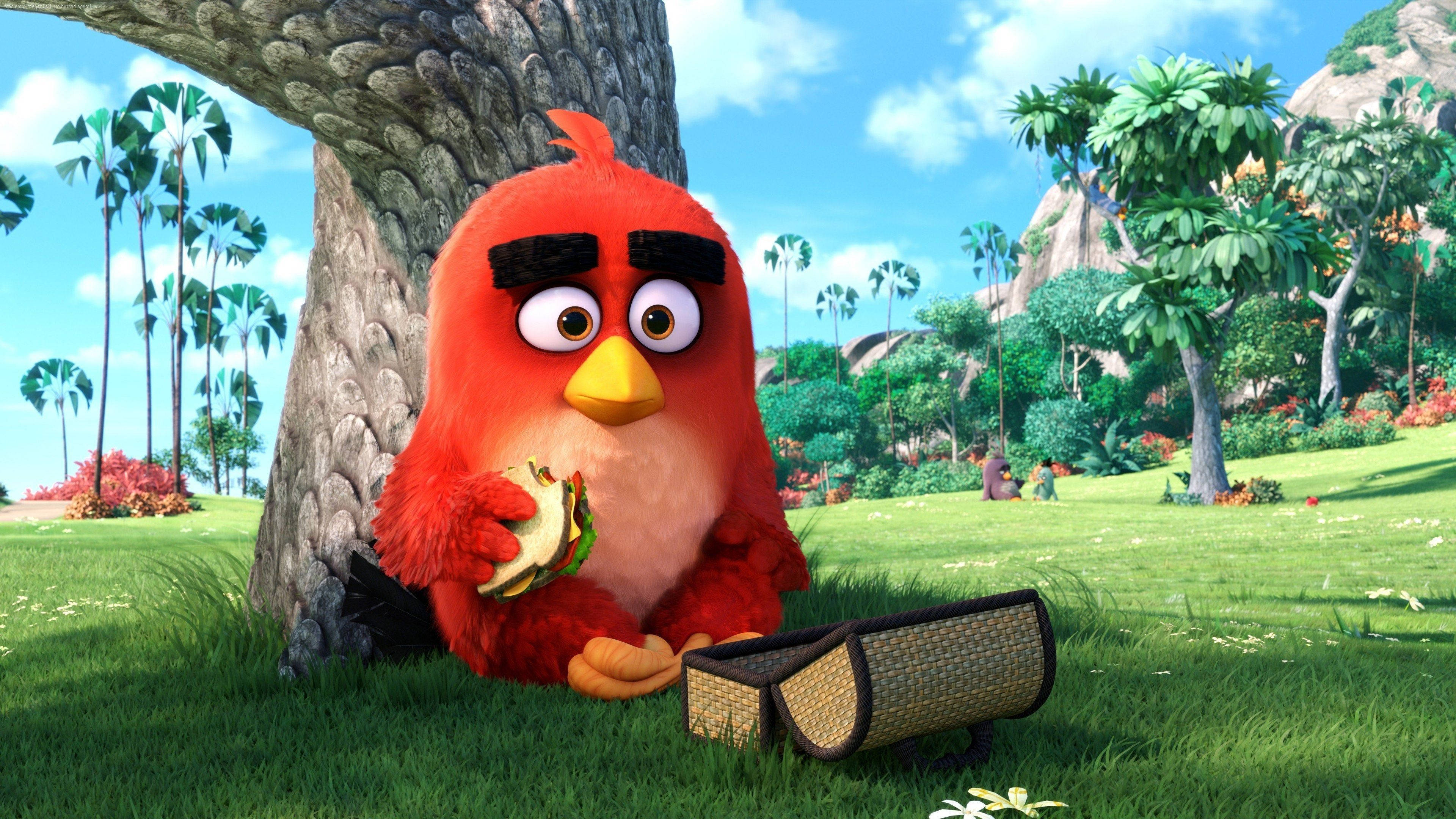 The Angry Birds Movie 2, picnic, red cartoon bird, 4K Desktop Wallpaper