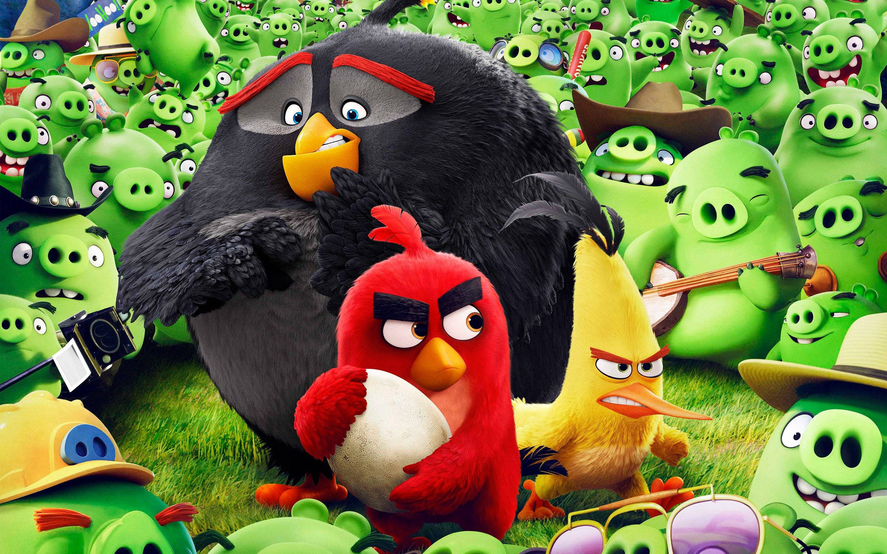 The Angry Birds Movie 2, red yellow and black angry birds, green pigs, 2K Desktop Wallpaper