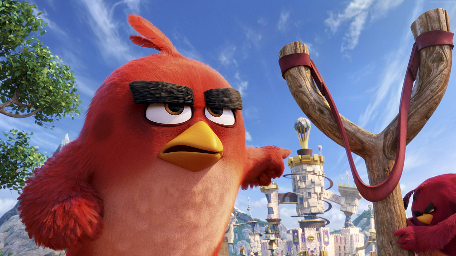 The Angry Birds Movie, Red, slingshot, Full HD Desktop Wallpaper