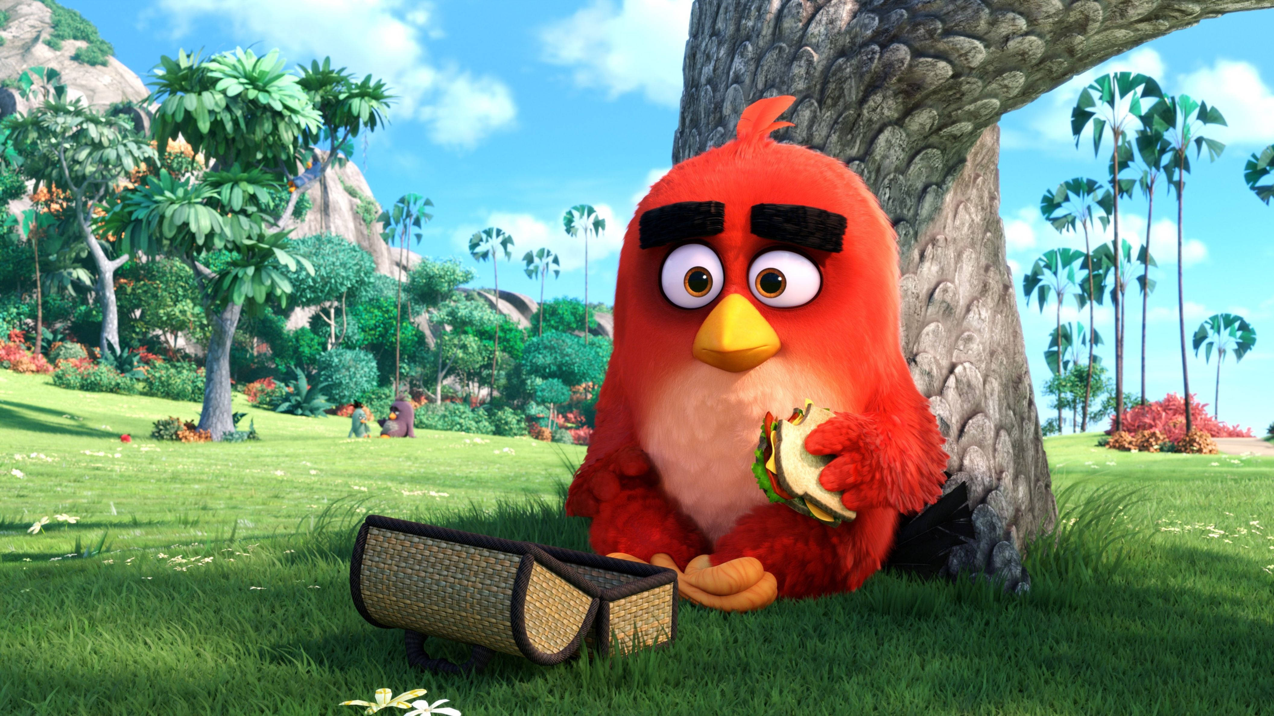 The Angry Birds Movie, red cartoon bird, black eyebrows, 4K Desktop Wallpaper