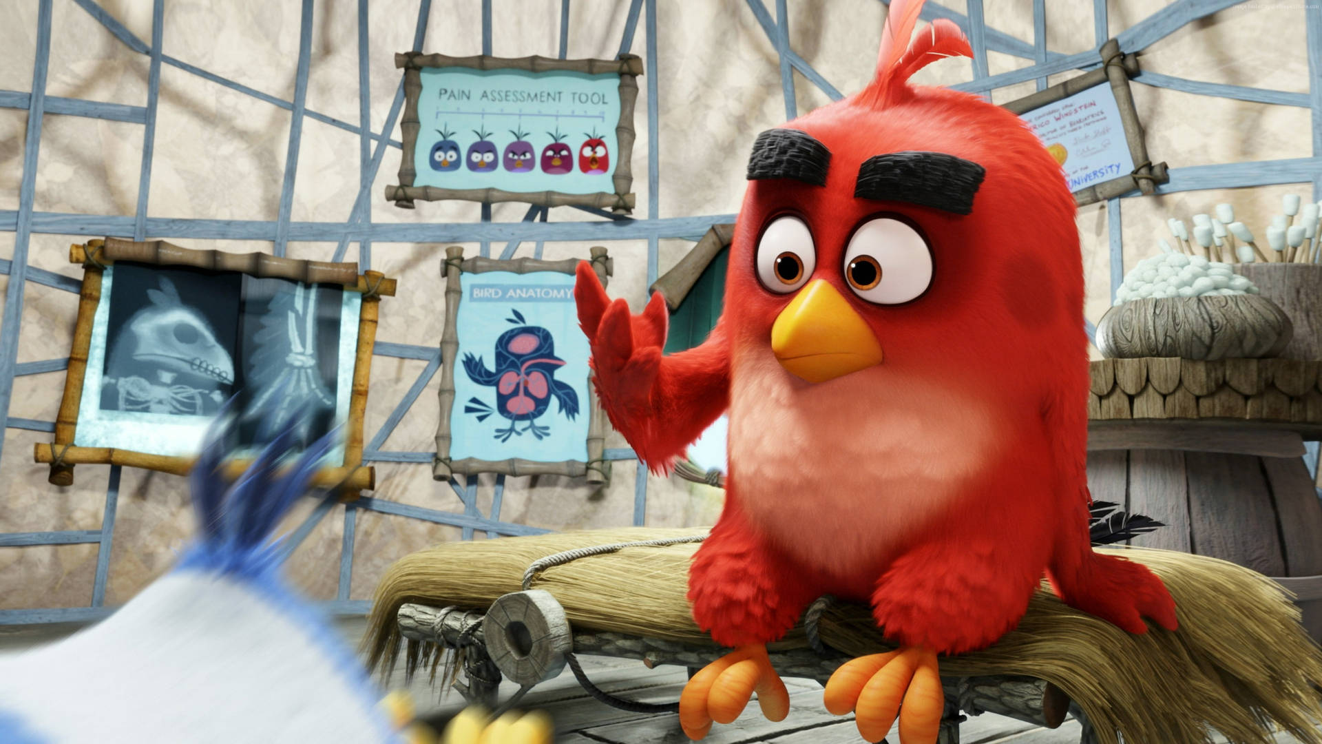 Red, Angry Birds Movie, straw bed, Full HD Desktop Wallpaper