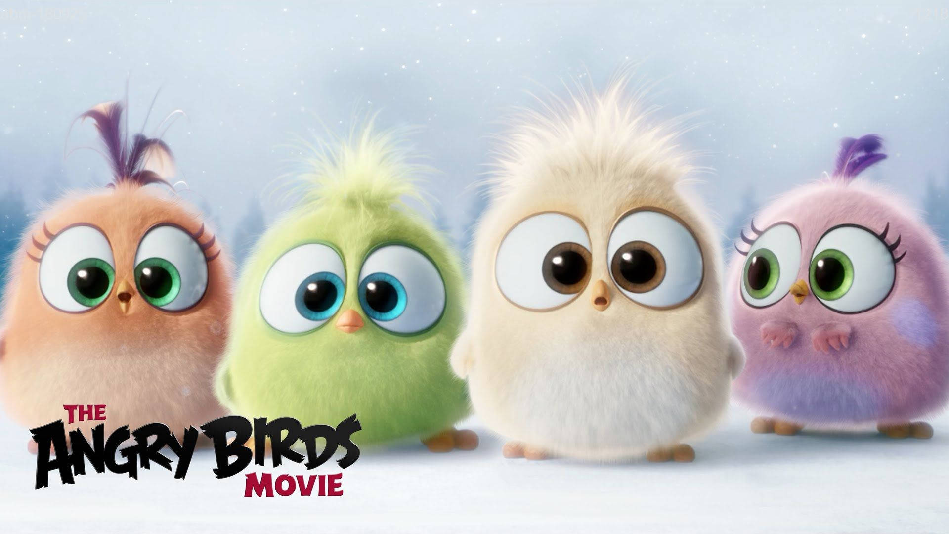 The Angry Birds Movie, hatchlings, fluffy animated birds, Full HD Desktop Wallpaper