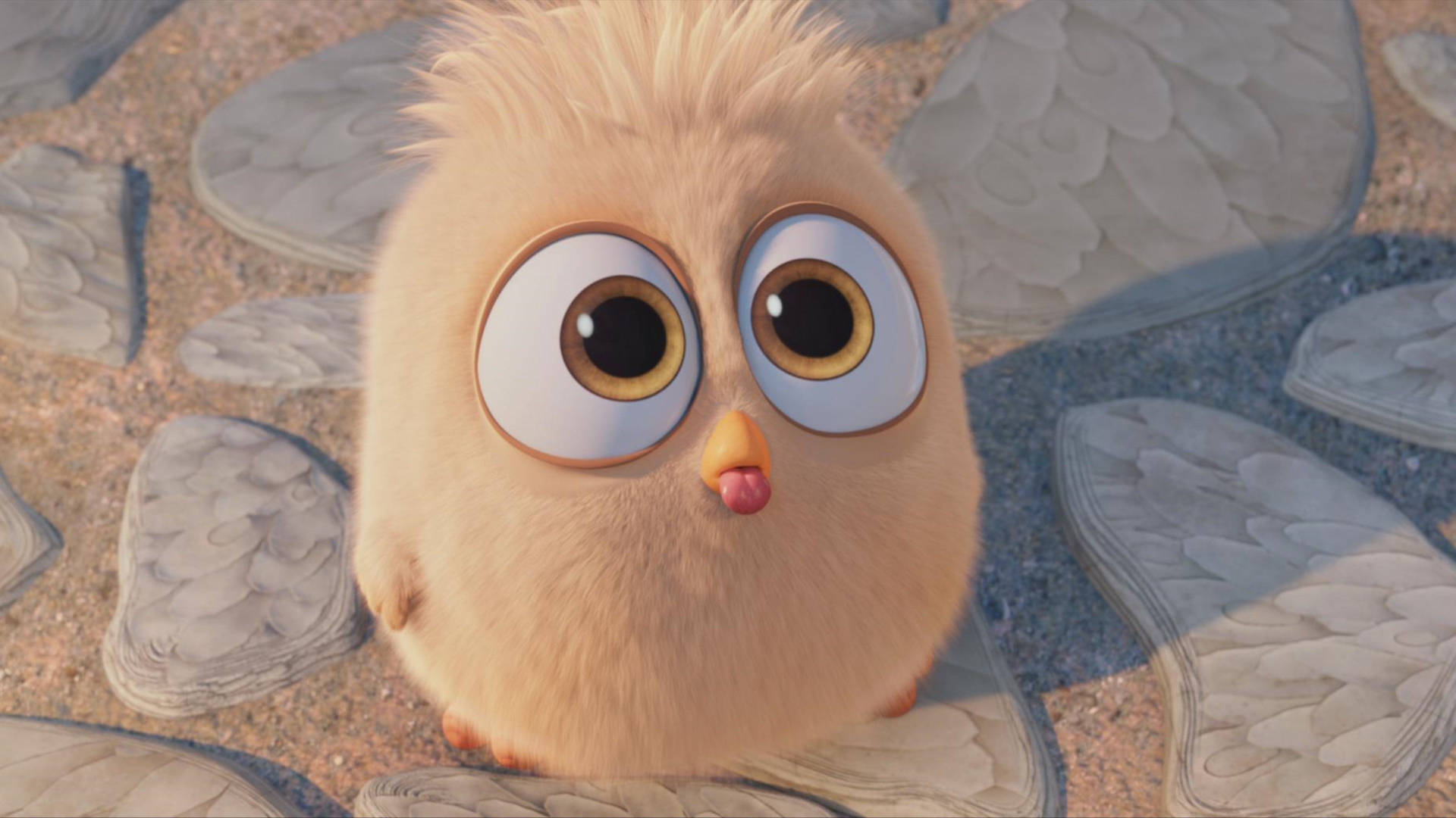 Angry Birds Movie, hatchling, fluffy animated chick, Full HD Desktop Wallpaper