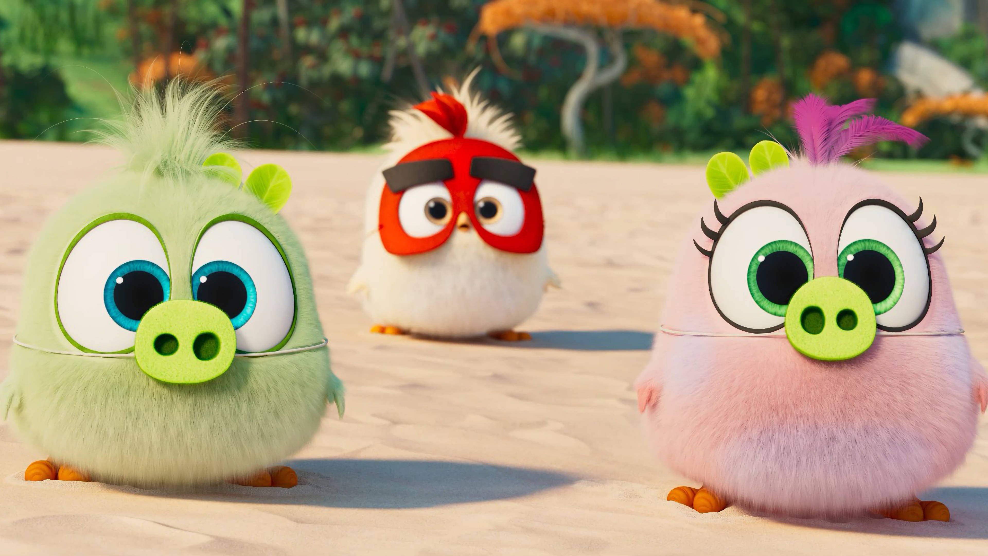 Angry Birds, 4K, cartoon, 4K Desktop Wallpaper