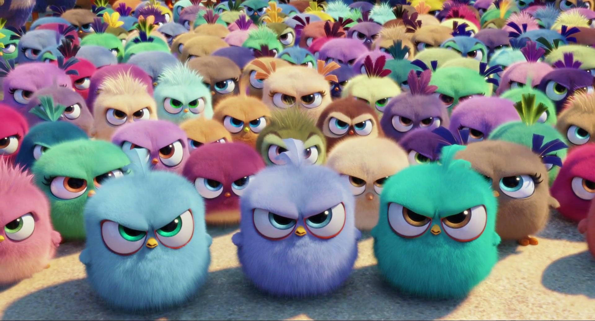 The Angry Birds Movie, angry hatchlings, fluffy animated birds, Full HD Desktop Wallpaper