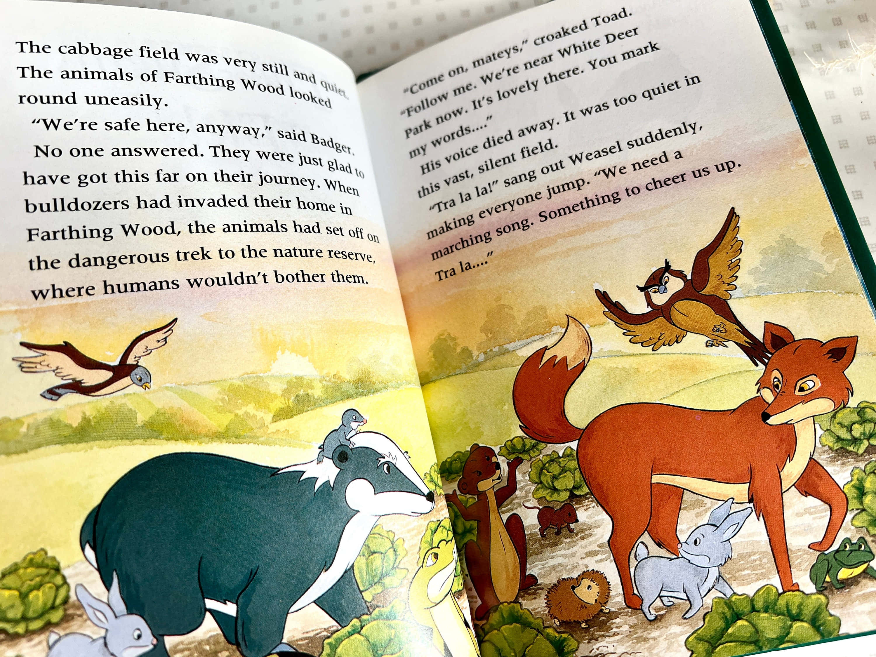 The Animals Of Farthing Wood, fox, badger, 2K Desktop Wallpaper