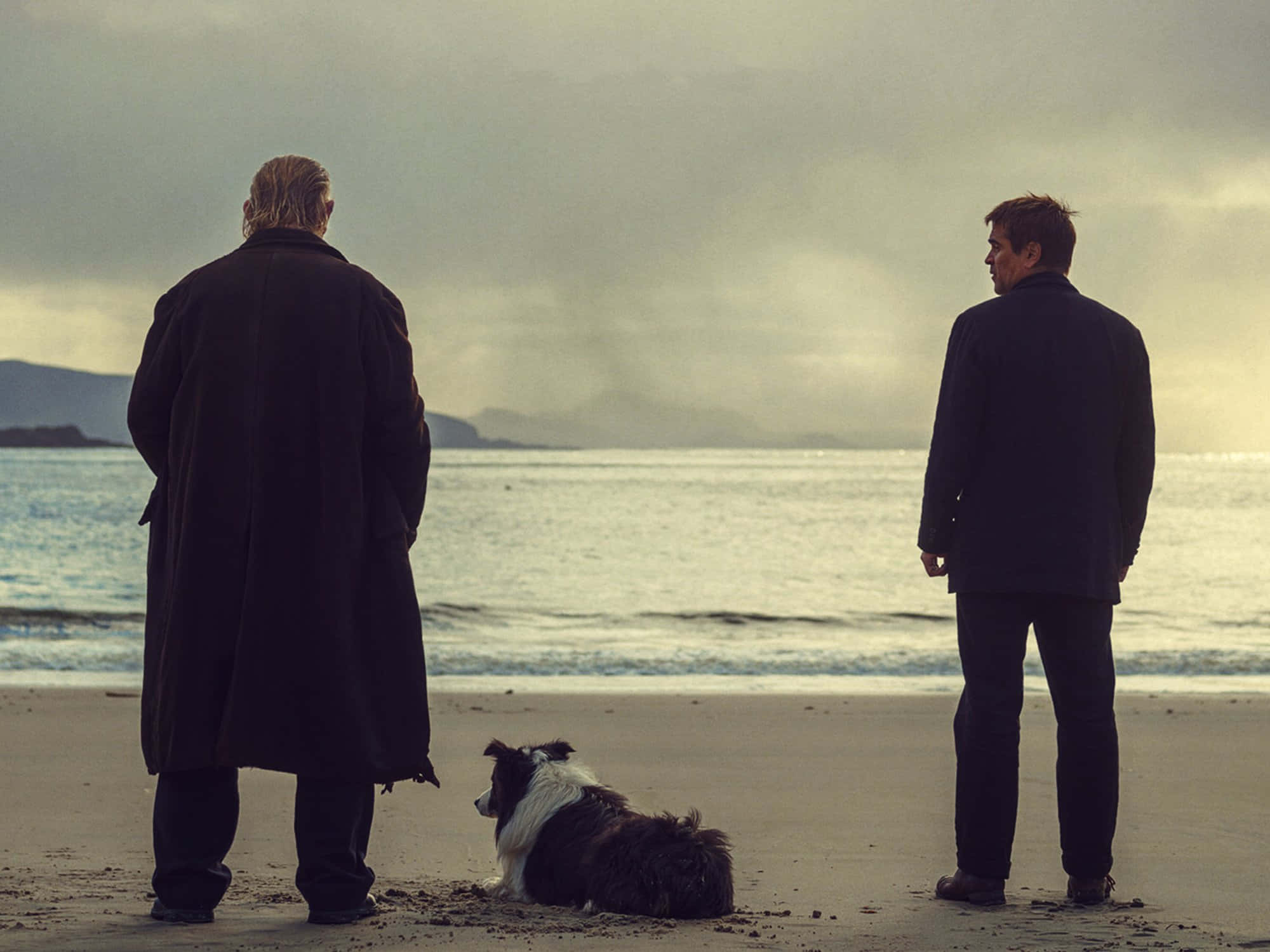 The Banshees Of Inisherin, border collie, misty beach, Full HD Desktop Wallpaper