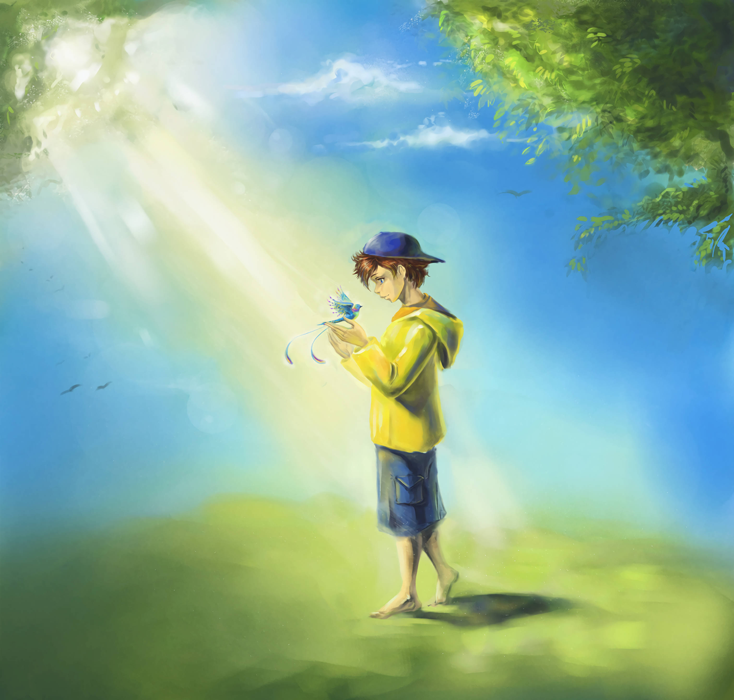 boy, blue bird, yellow hoodie, 2K Desktop Wallpaper