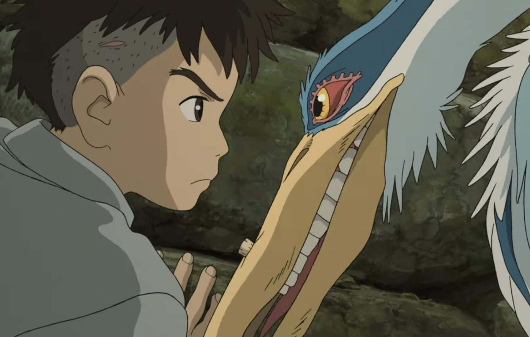 Boy, Heron, gray hoodie, HD Desktop Wallpaper