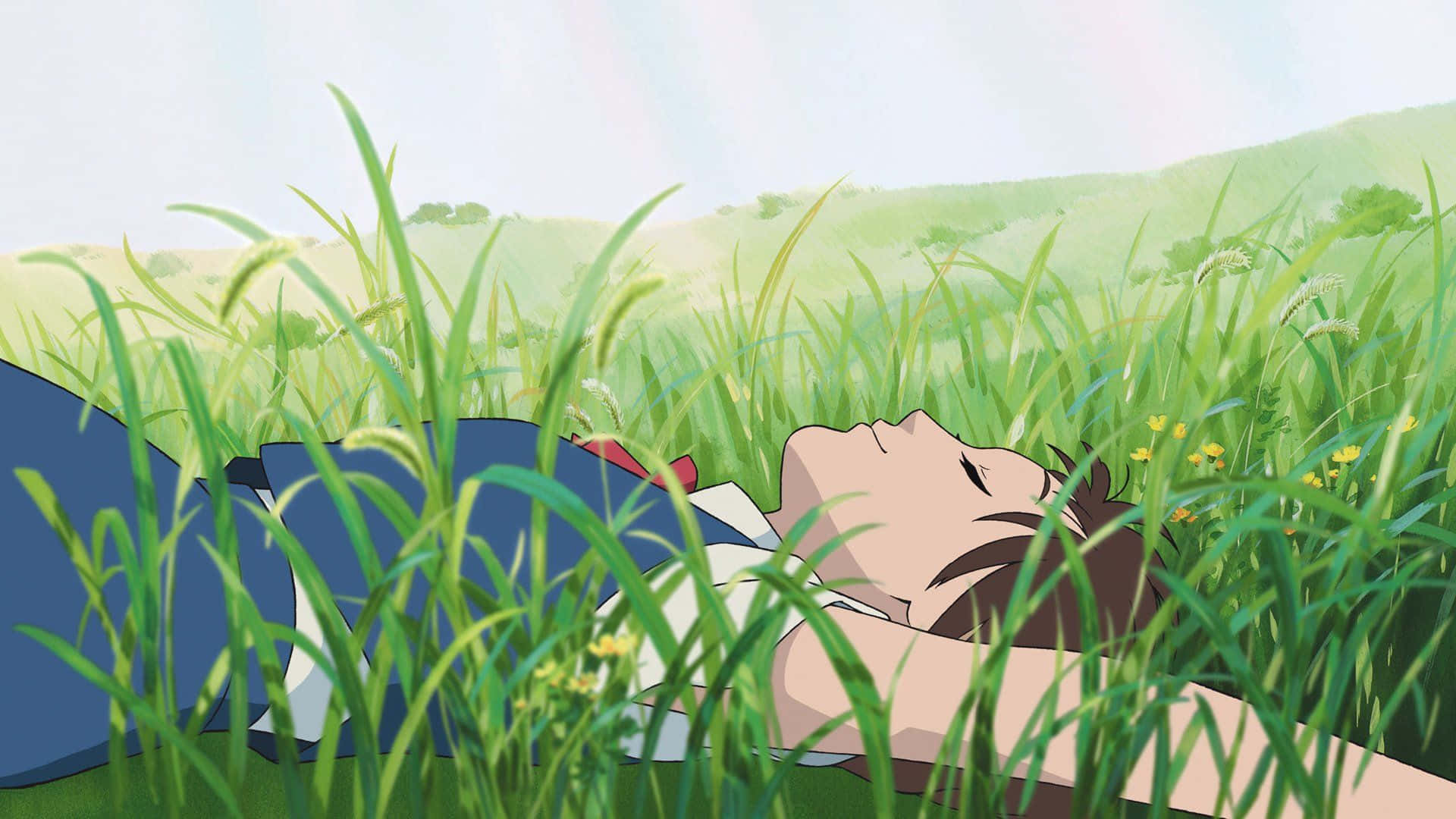 The cat returns, 1920 x 1080, green grass, Full HD Desktop Wallpaper