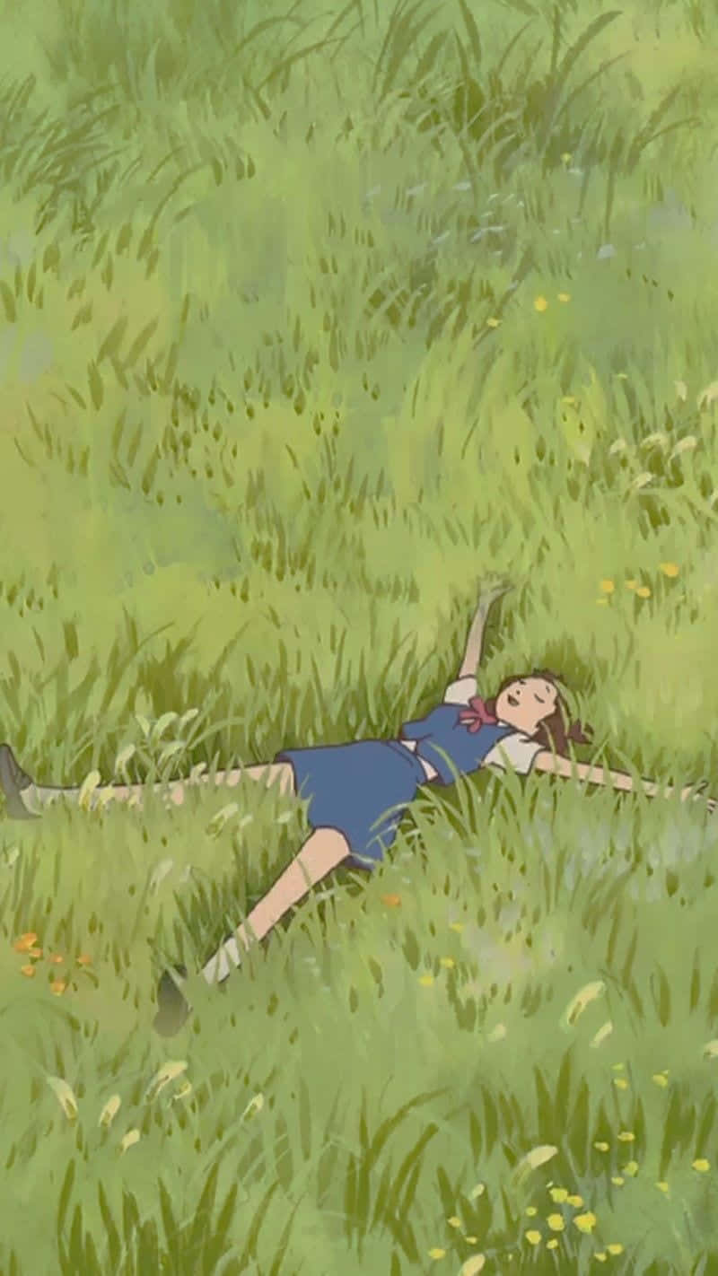 The Cat Returns, blue dress, sunlit field, HD Phone Wallpaper