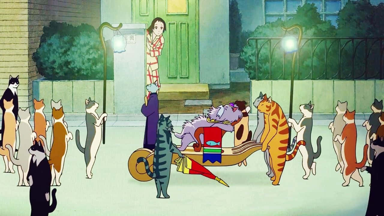 The Cat Returns, anthropomorphic cats, parade, HD Desktop Wallpaper
