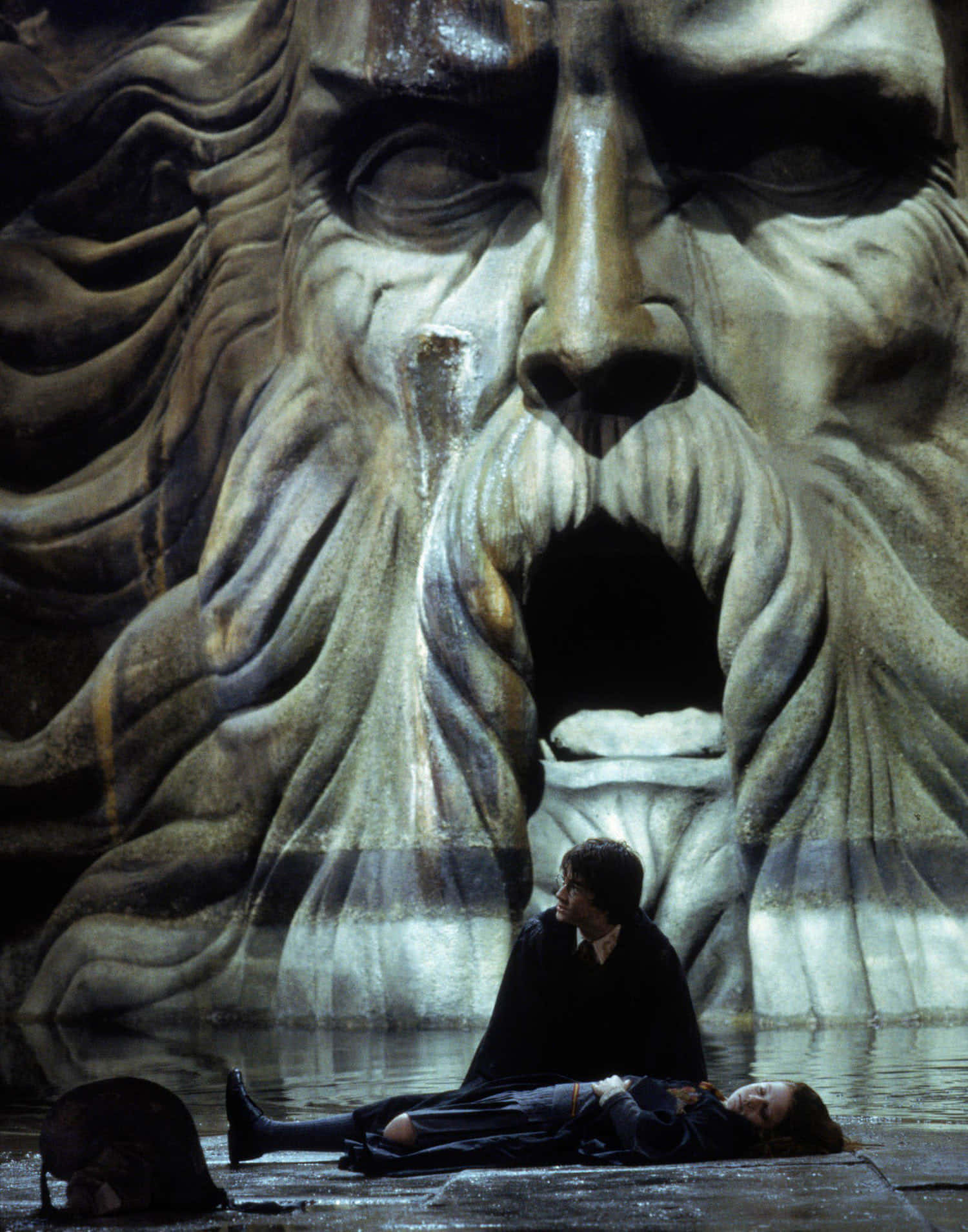 The Chamber of Secrets, stone face sculpture, wet stone, HD Phone Wallpaper