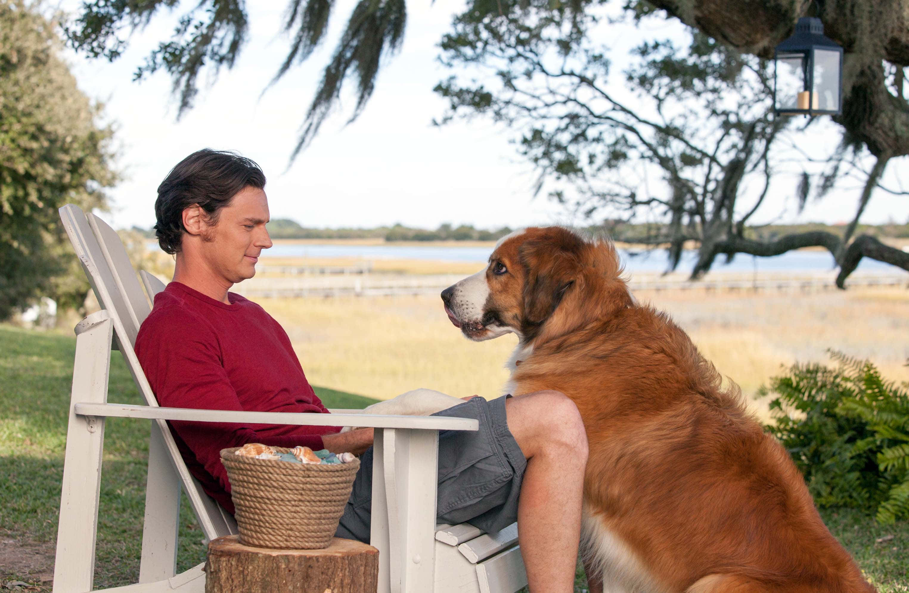 The Choice, red shirt, white porch chair, 2K Desktop Wallpaper