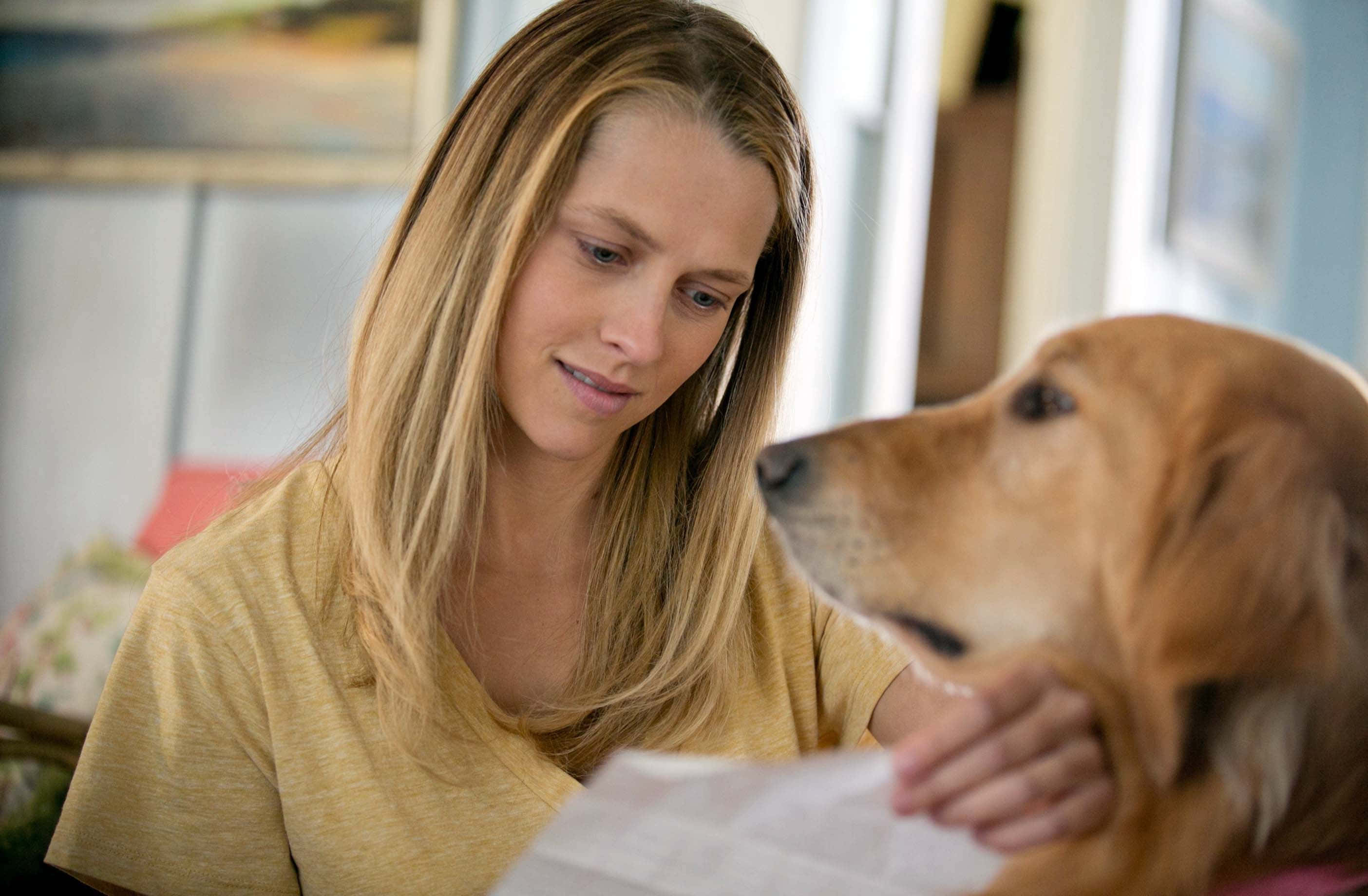 The Choice, yellow shirt, golden retriever, 2K Desktop Wallpaper