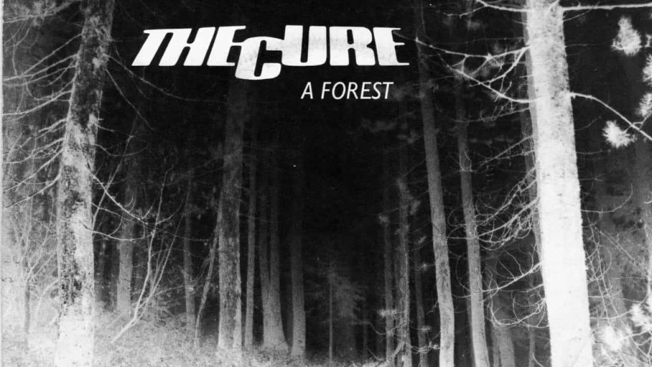 THE CURE, forest, black and white, HD Desktop Wallpaper