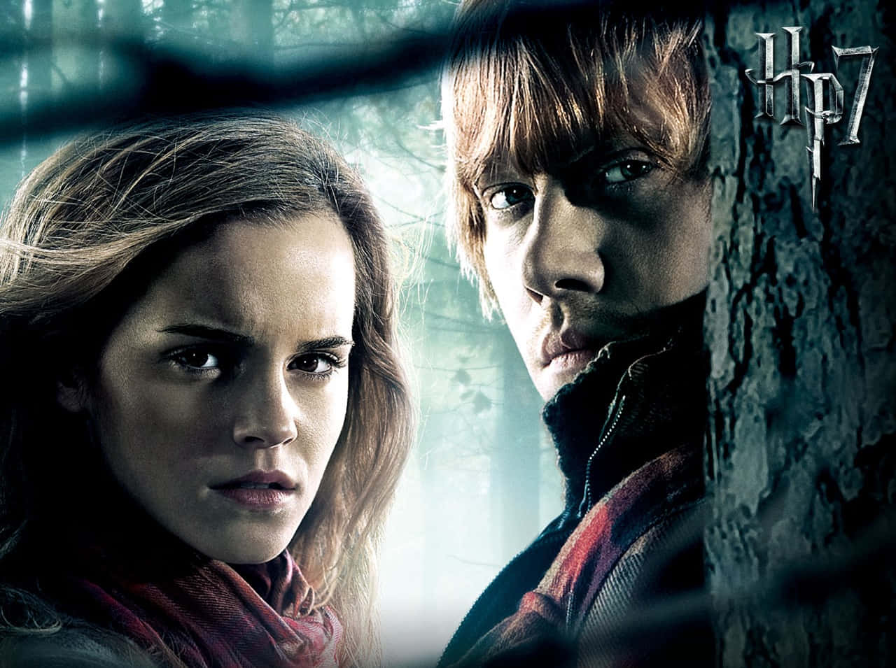 The Deathly Hallows, misty forest, two young wizards, HD Desktop Wallpaper