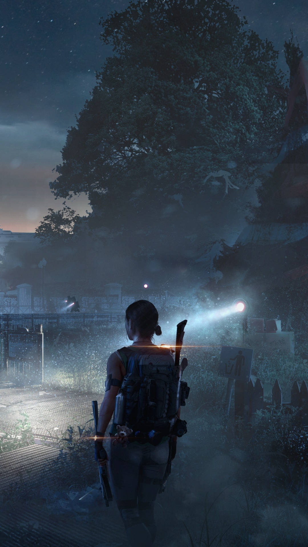 The Division Phone, misty graveyard, night, Full HD Phone Wallpaper