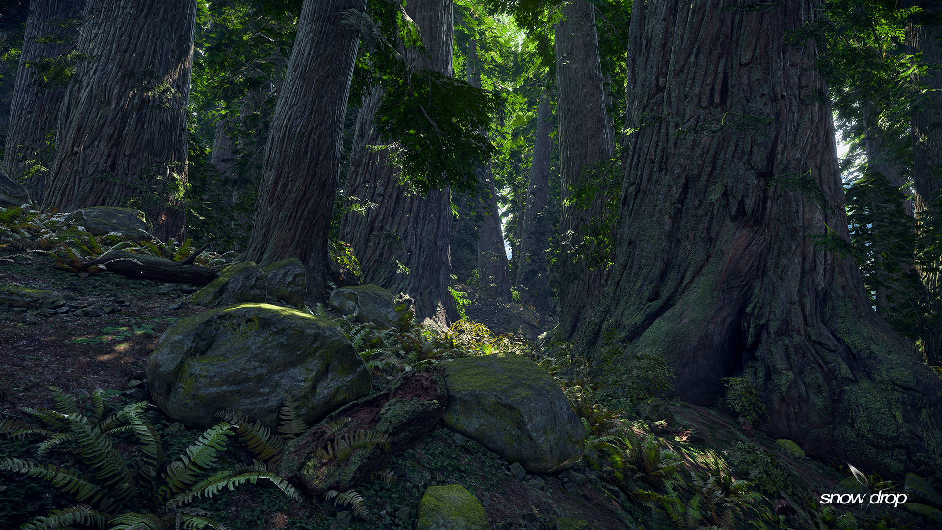The Division, jungle, redwood trees, Full HD Desktop Wallpaper