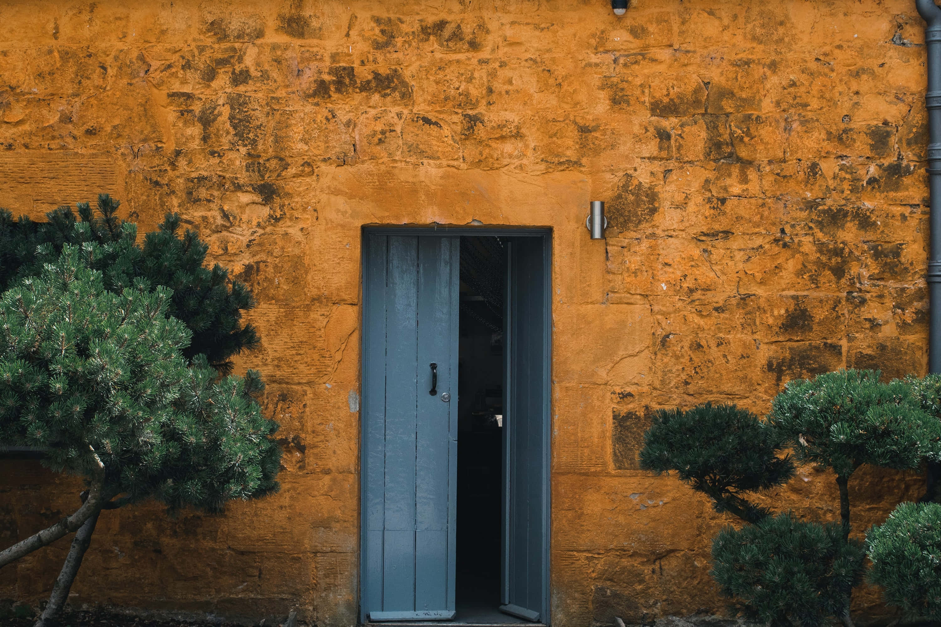 blue door, textured orange brick wall, dark green shrubs, 2K Desktop Wallpaper