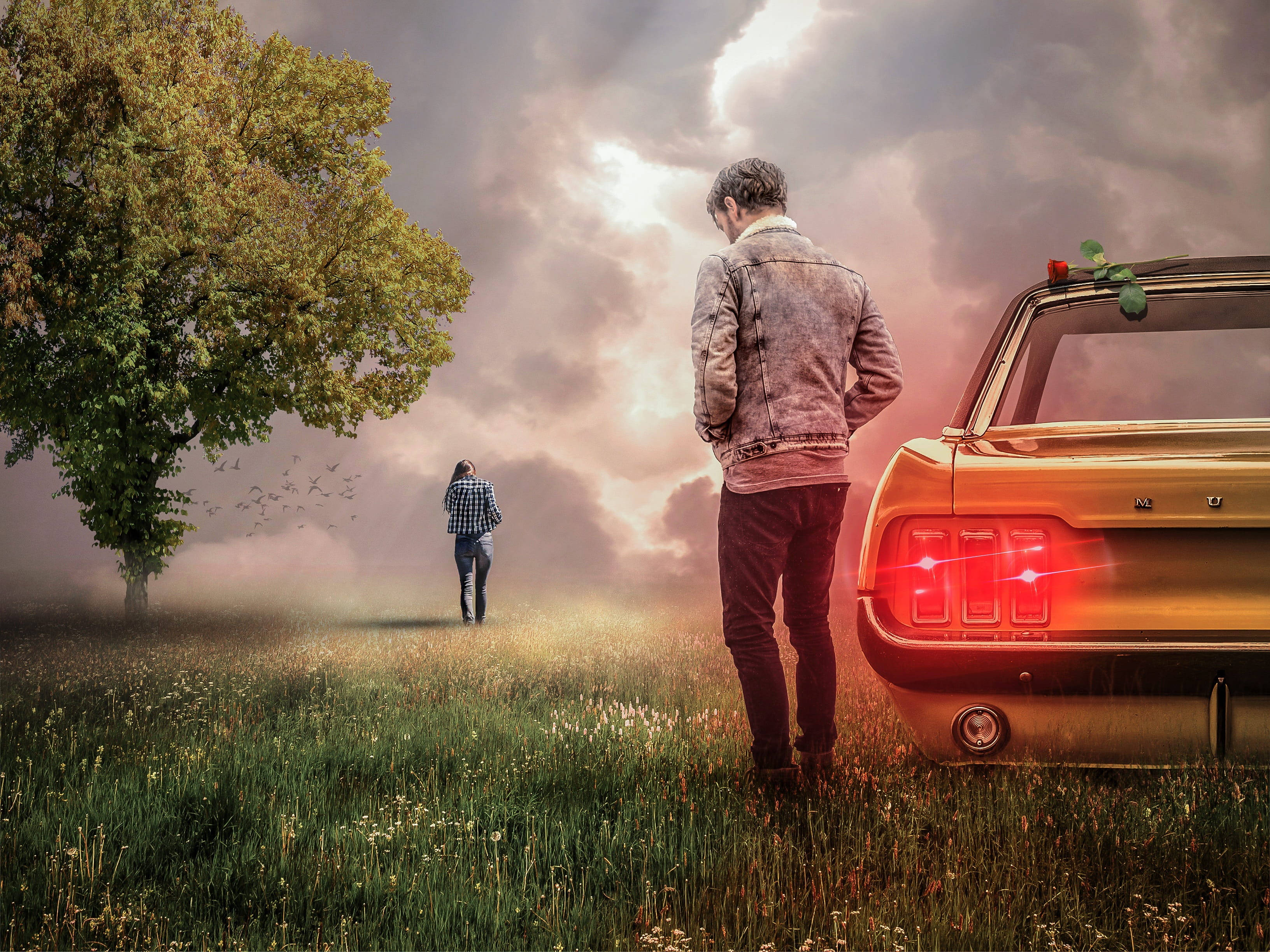 leather jacket, vintage car, misty field, 2K Desktop Wallpaper