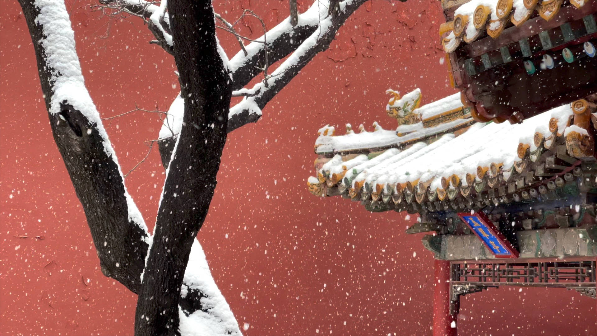 Forbidden City, roofs, snow, Full HD Desktop Wallpaper
