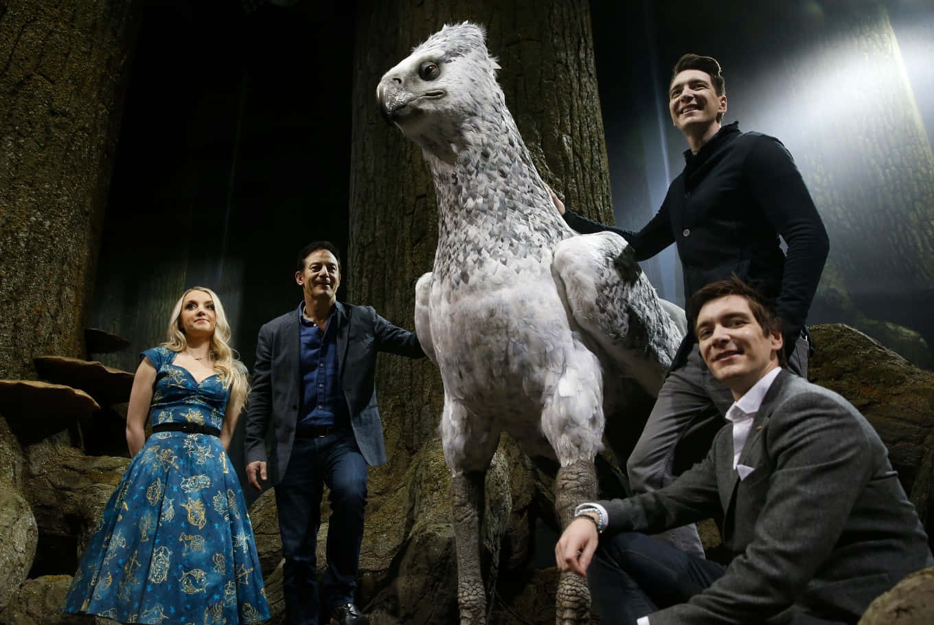 The Forbidden Forest, hippogriff, white feathered hippogriff, HD Desktop Wallpaper