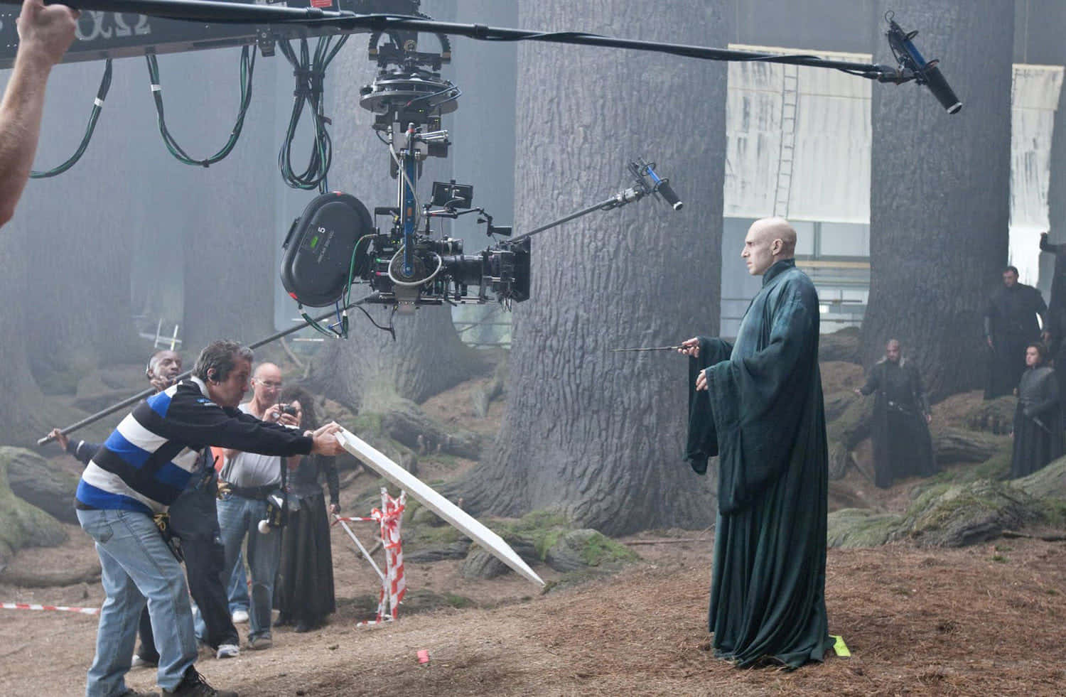 The Forbidden Forest, bald actor, dark robe, HD Desktop Wallpaper