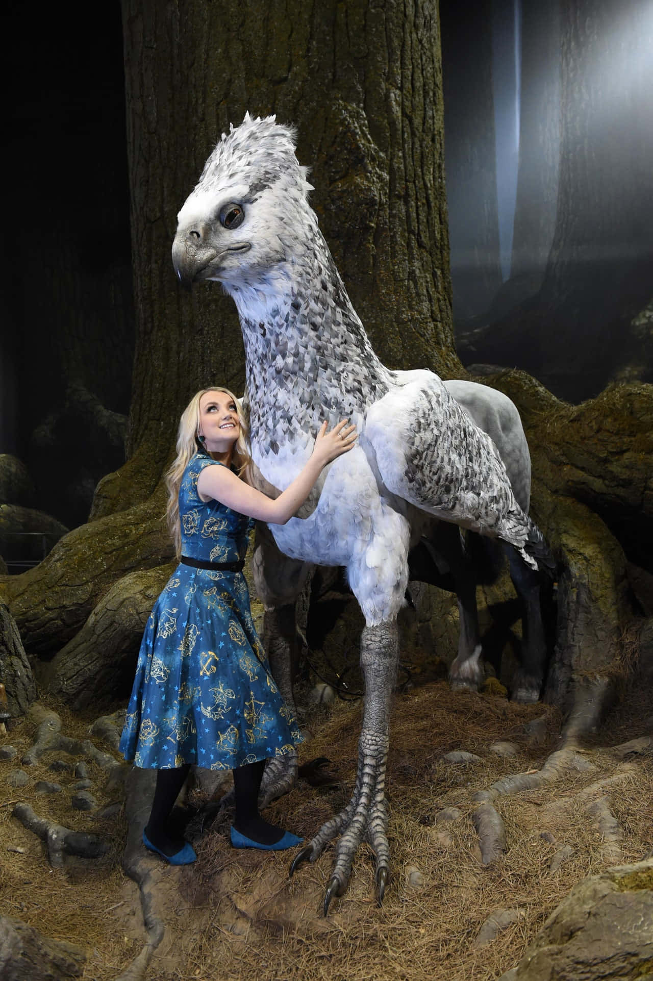 The Forbidden Forest, blue dress, white and grey feathered hippogriff statue, Full HD Phone Wallpaper