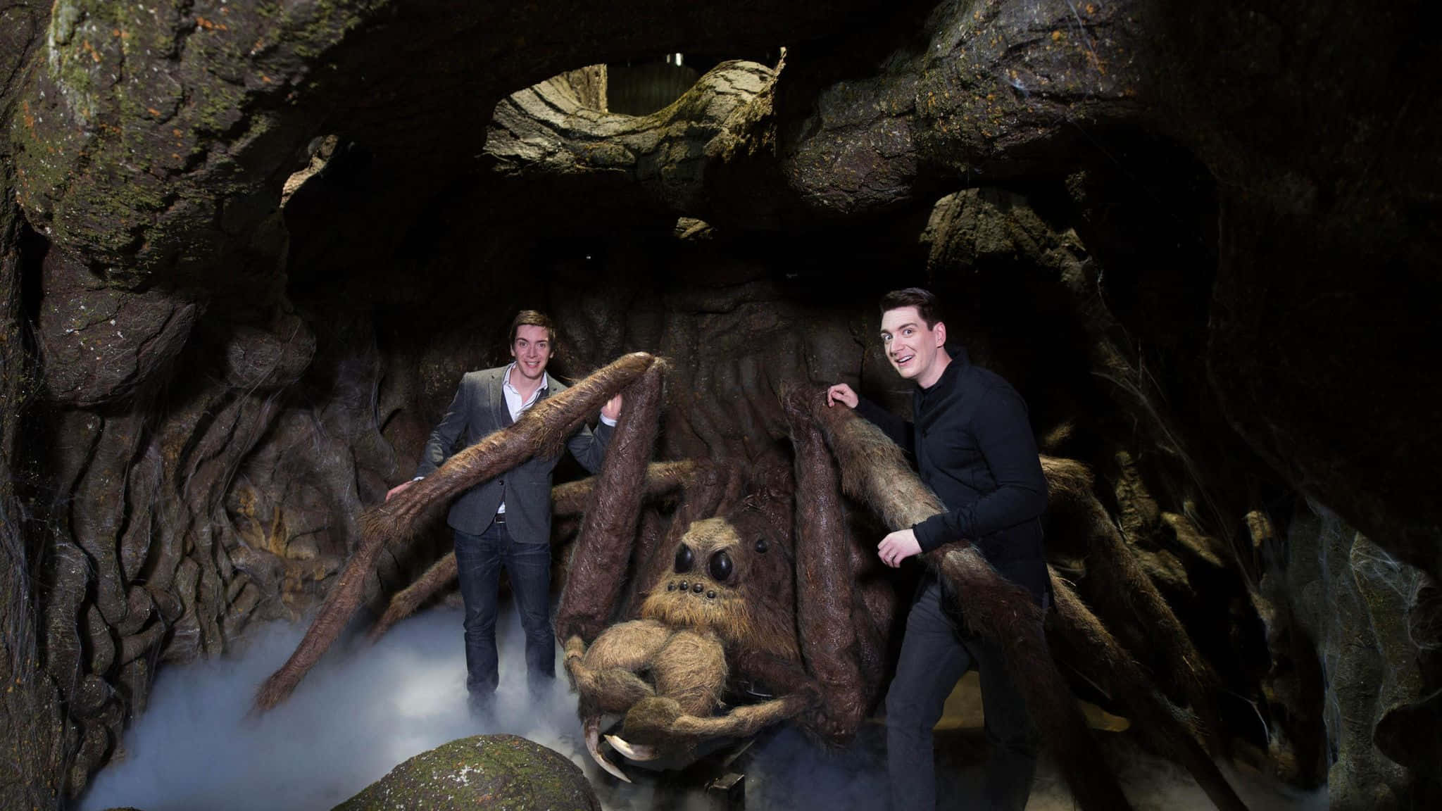 The Forbidden Forest, giant hairy spider prop, dark mossy cave, Full HD Desktop Wallpaper