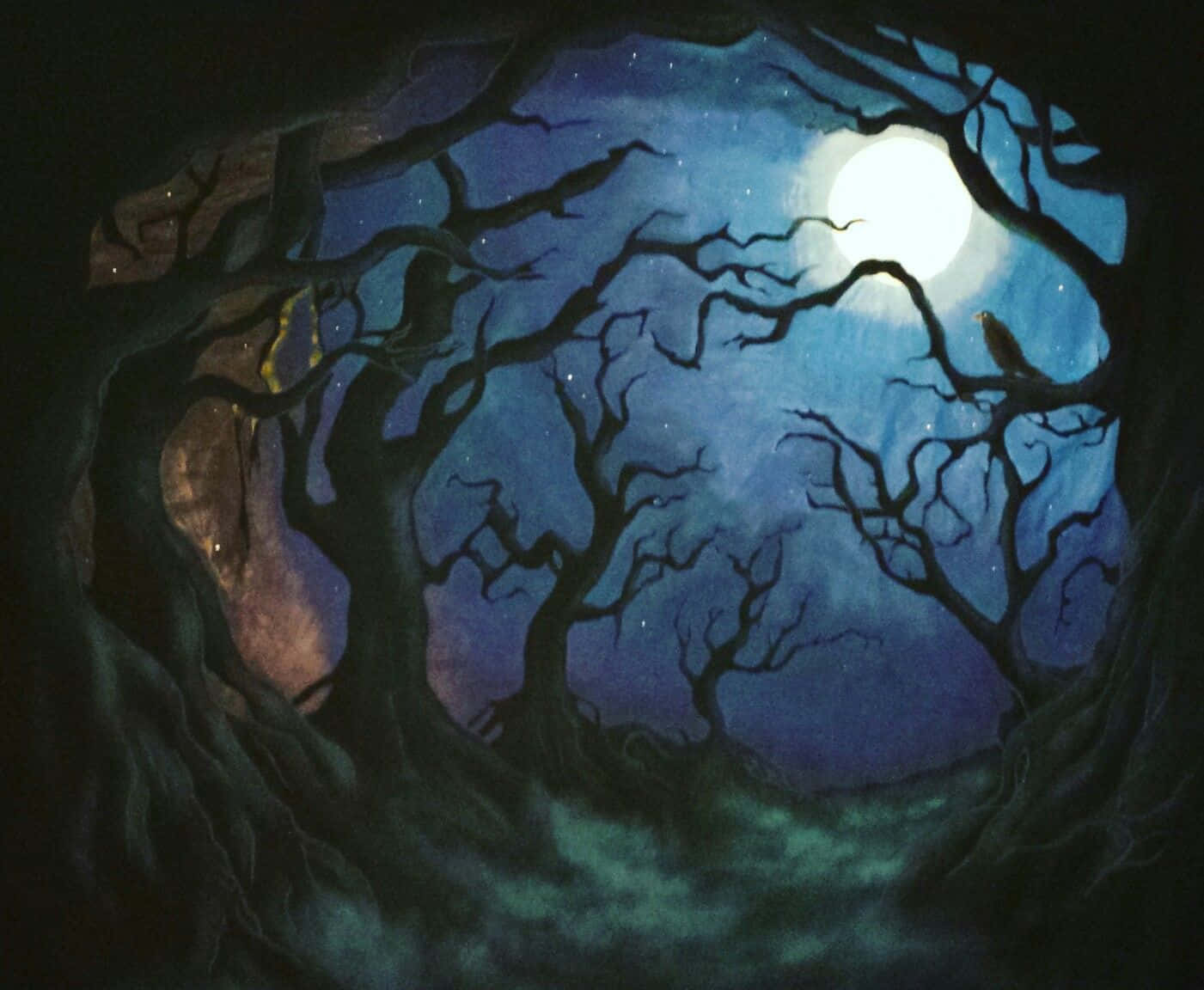 The Forbidden Forest, moonlit forest, twisted bare trees, HD Desktop Wallpaper