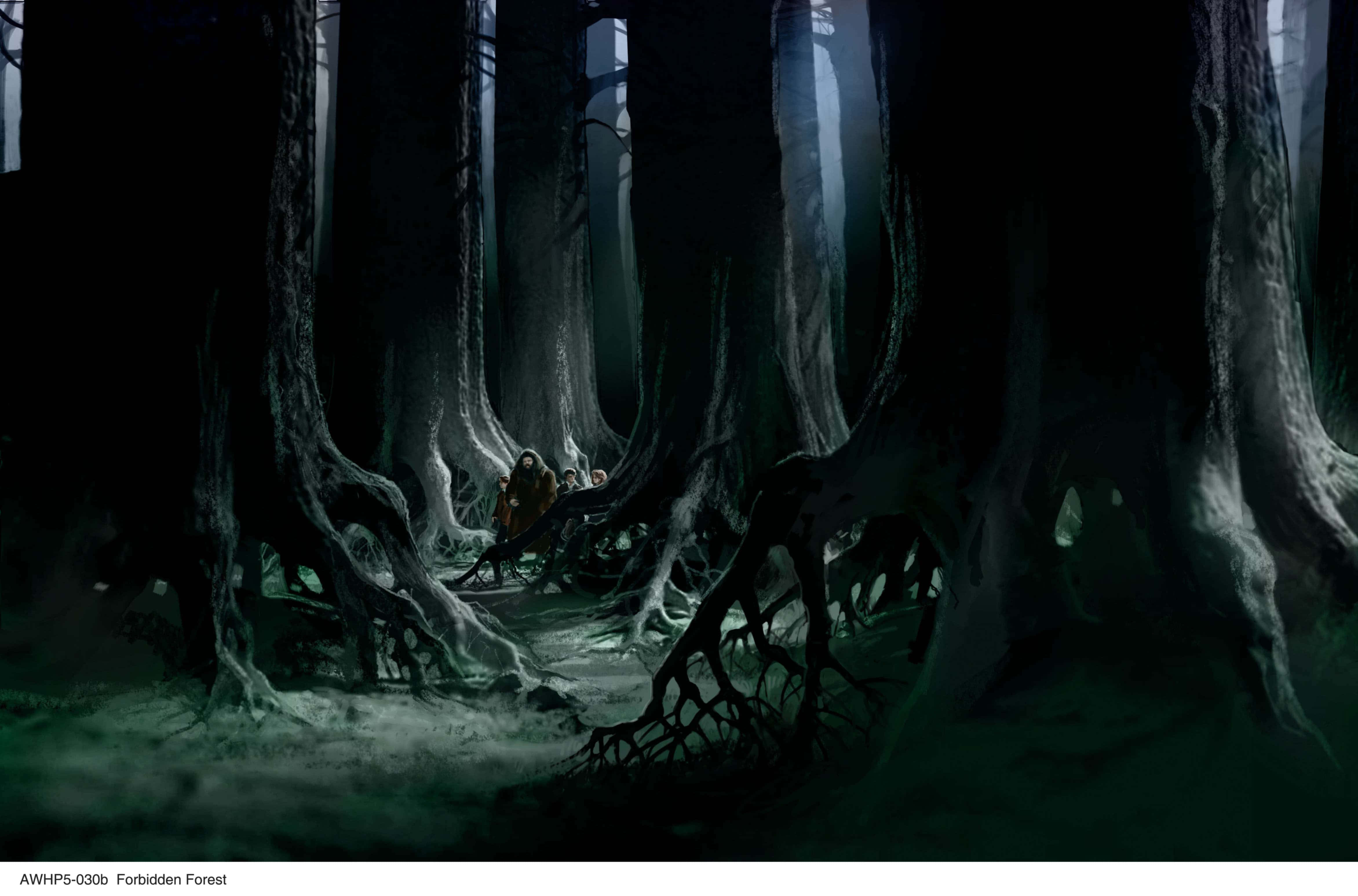 The Forbidden Forest, glowing green mist, massive gnarled trees, 4K Desktop Wallpaper