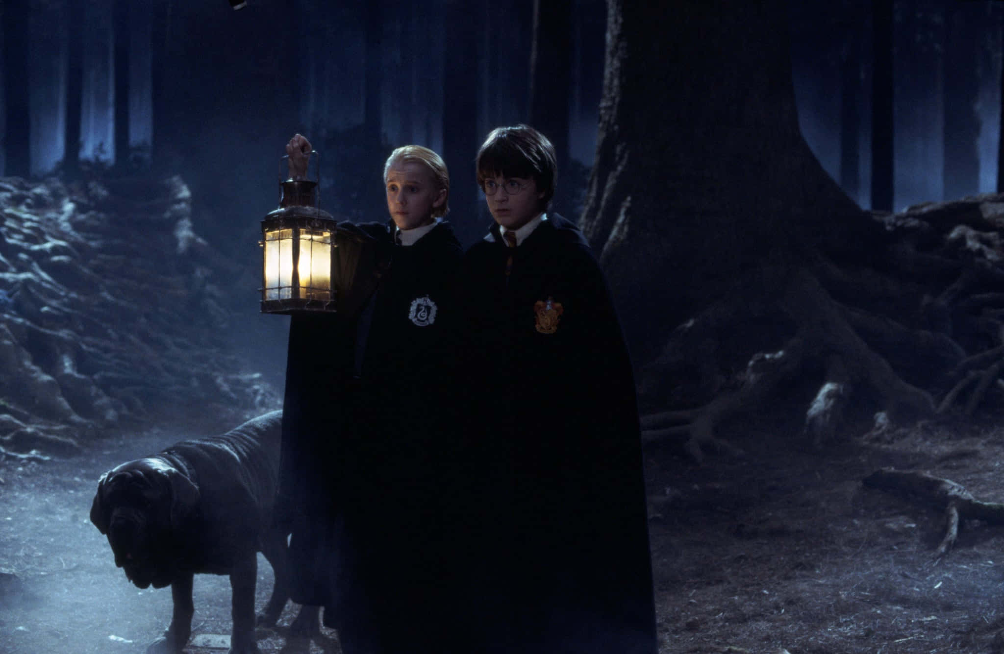 The Forbidden Forest, dark cloaks, misty forest, Full HD Desktop Wallpaper