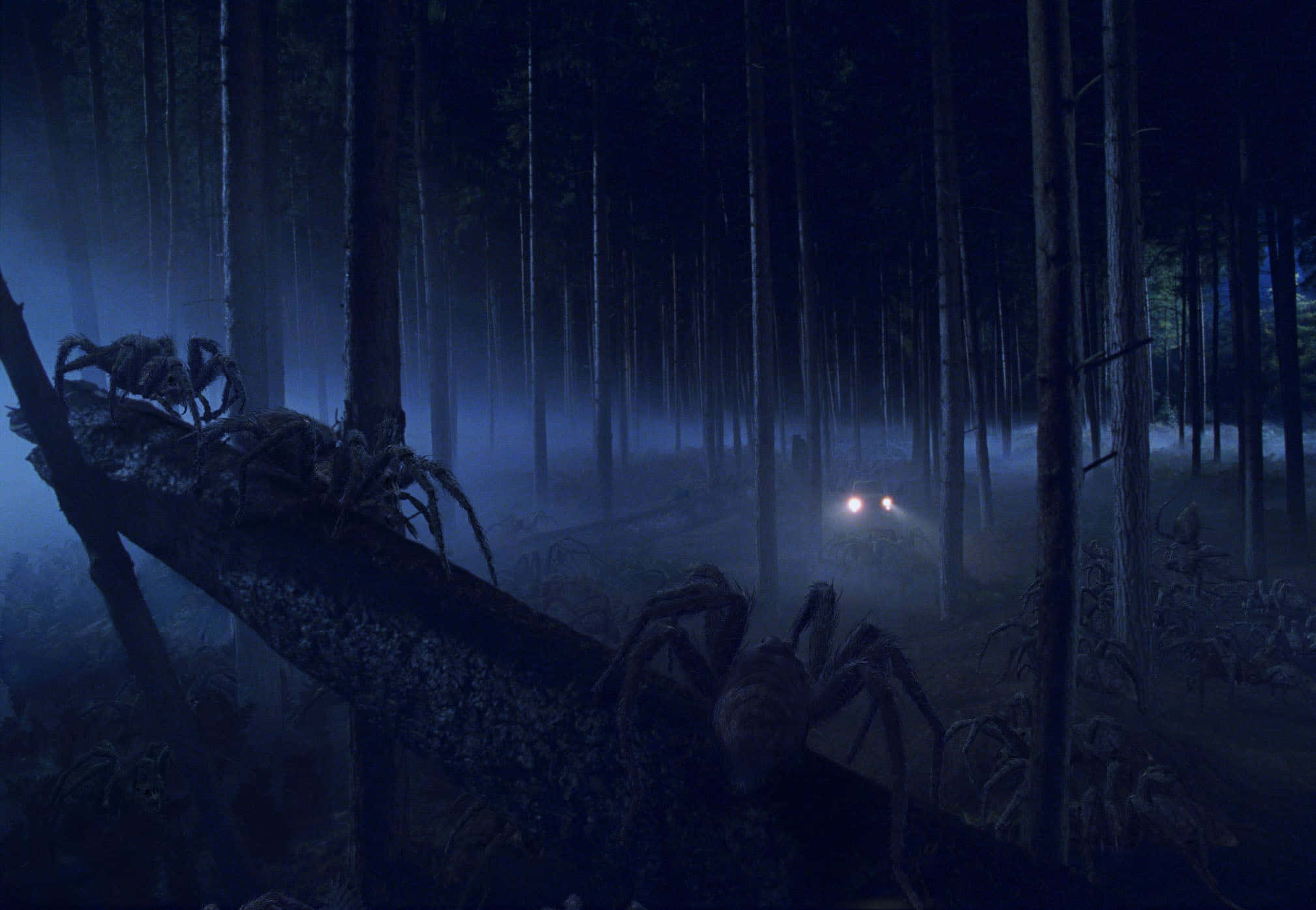 The Forbidden Forest, misty night forest, giant spiders, Full HD Desktop Wallpaper