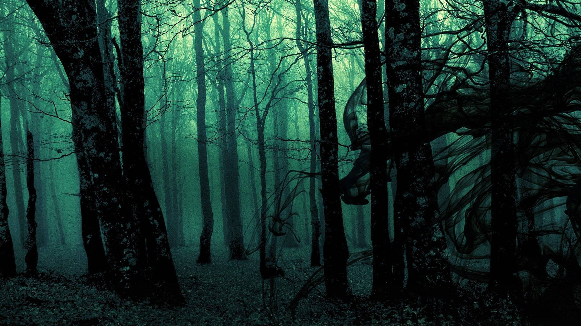 forbidden forest, twisted trees, eerie teal mist, Full HD Desktop Wallpaper