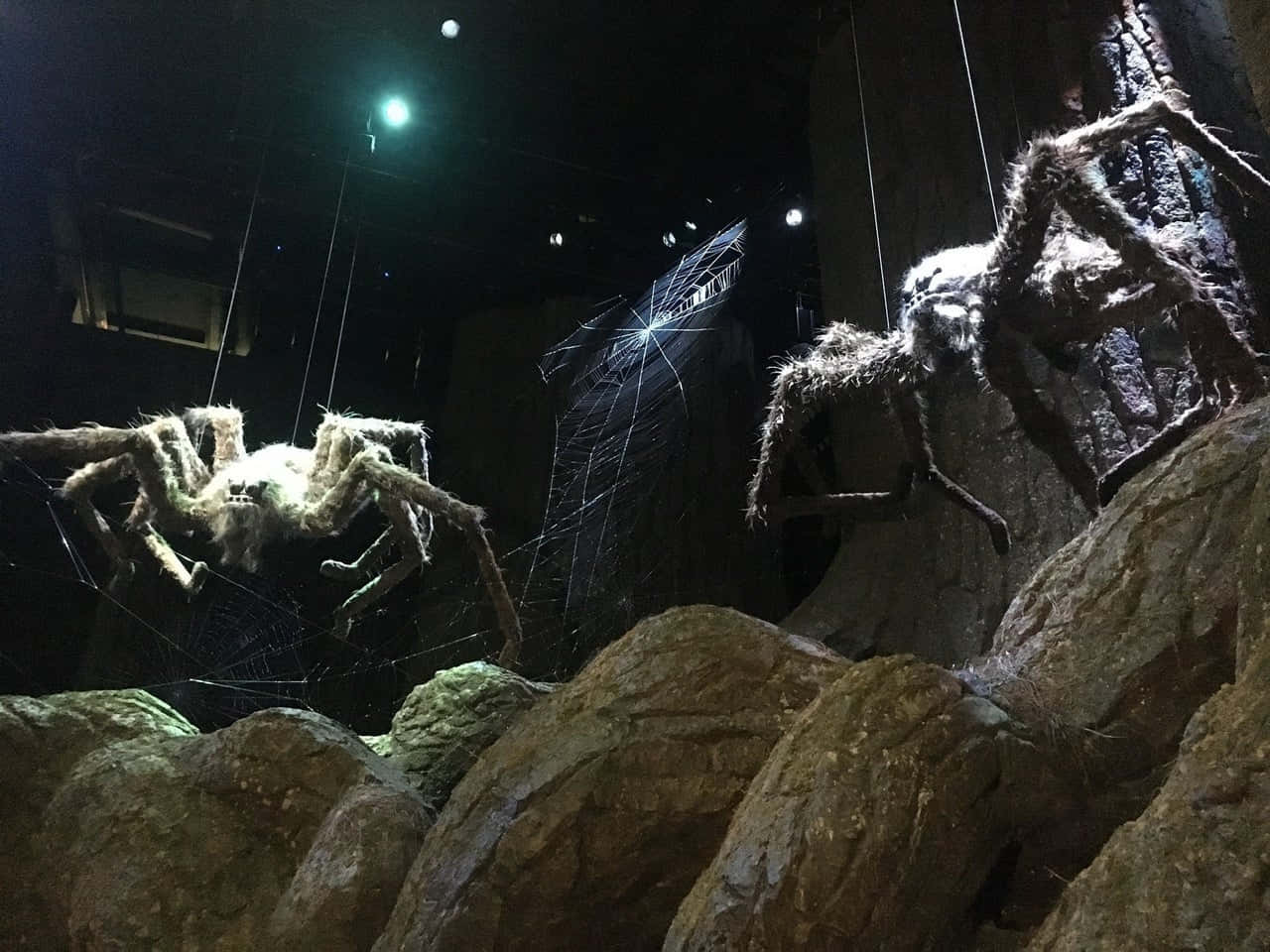 The Forbidden Forest, giant hairy spiders, rocky terrain, HD Desktop Wallpaper
