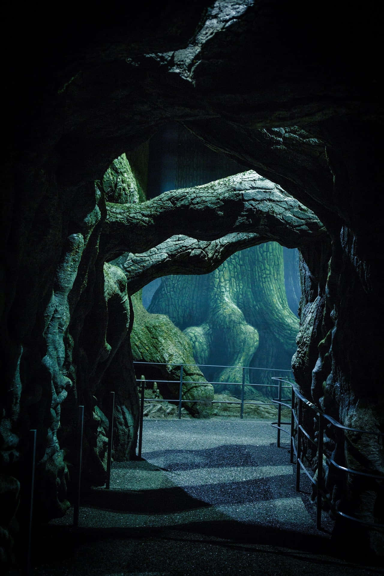 The Forbidden Forest, dark cave entrance, massive gnarled tree roots, Full HD Phone Wallpaper