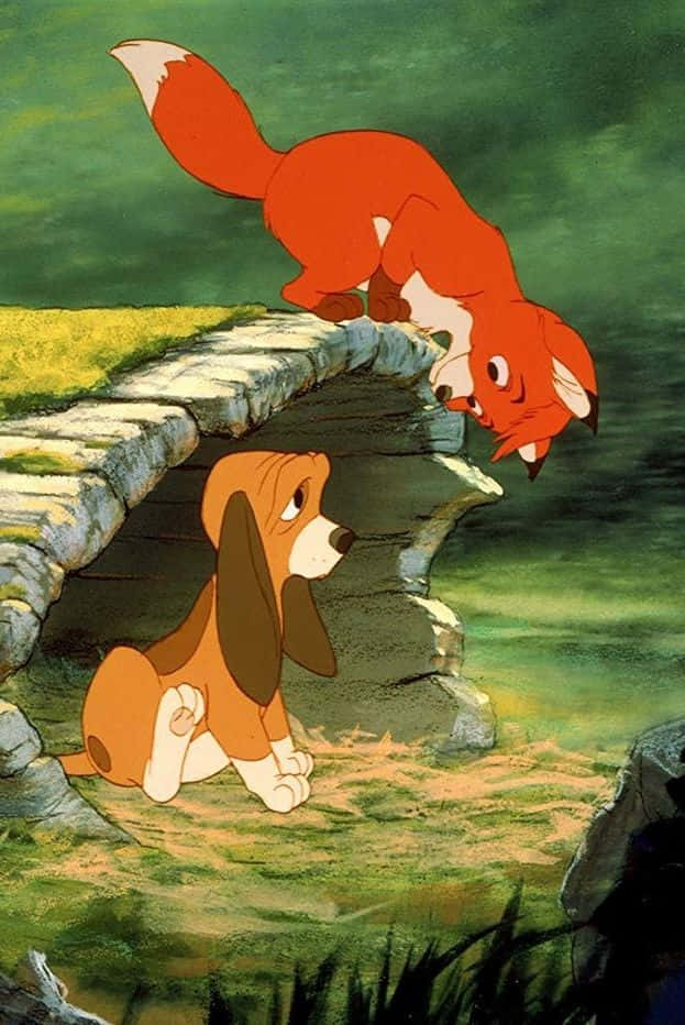 The fox and the hound, red fox, basset hound, SD Phone Wallpaper