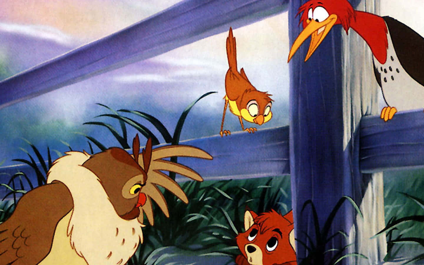 The Fox and the Hound, woodpecker, owl, HD Desktop Wallpaper